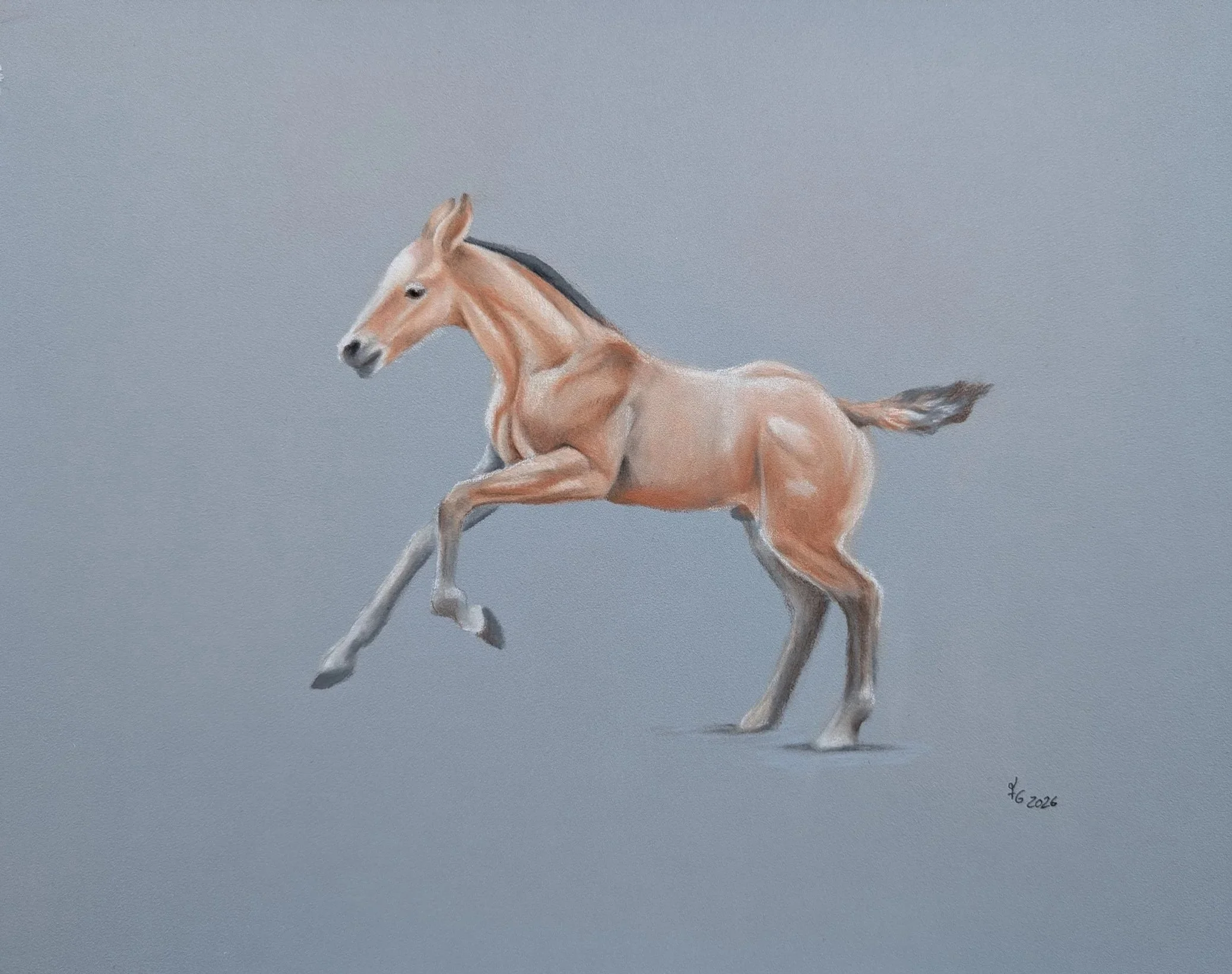 Ein handgemaltes Bild von einem galloppierenden Fohlen voller Lebensfreude
