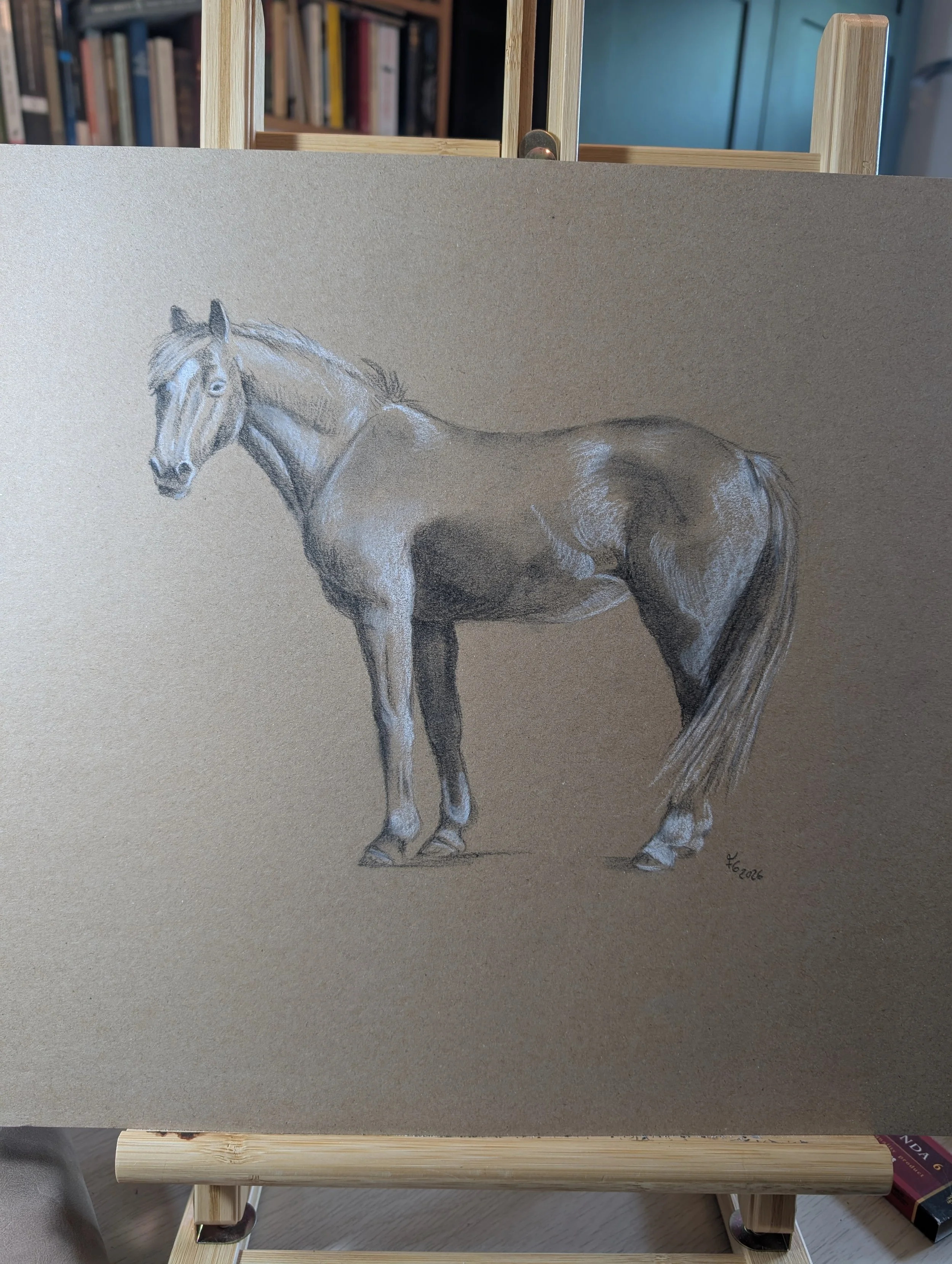Fuchswallach Studie fertig 1.jpg