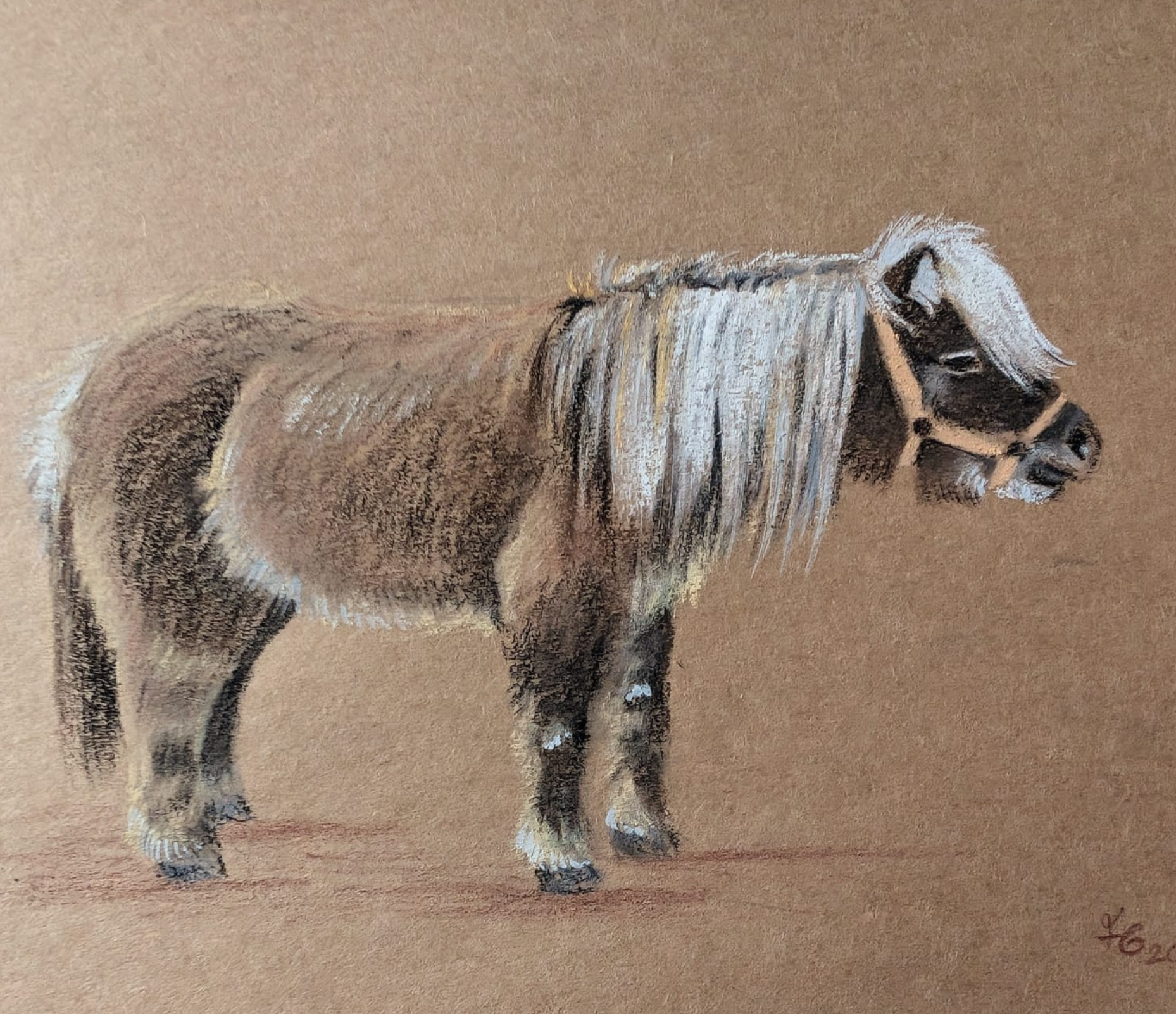 ein braunes süßes Pony in Pastell gezeichnet vor einem braunen Hintergrund