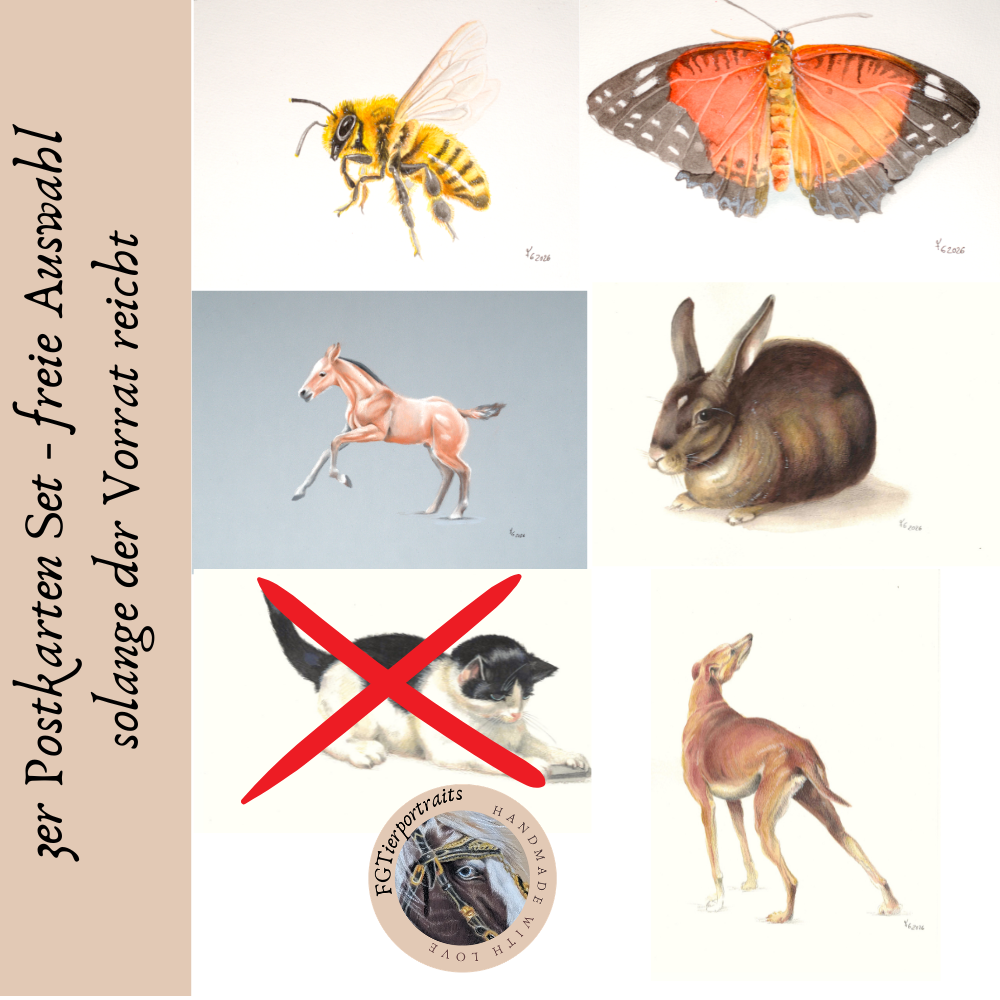 Ein Poster mit sechs verschiedenen Tierbildern, darunter eine Biene, ein Schmetterling, ein Fohlen, ein Kaninchen, eine Katze mit rotem Kreuz über dem Gesicht, und ein Hund. Es enthält deutschen Text: "Poster Karten Set - freier Ansatz solange der Vorrat reicht"