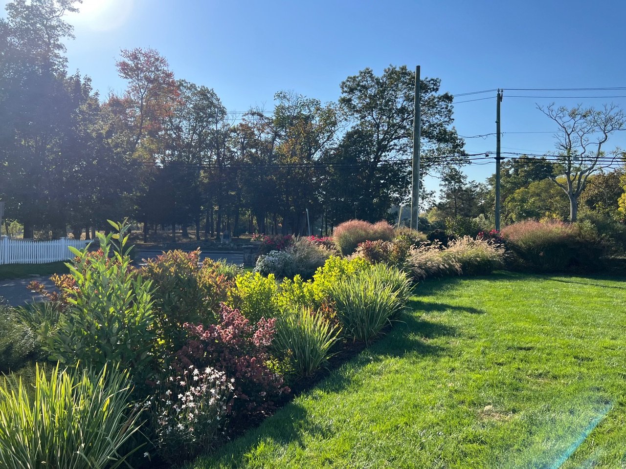 MORE THAN A RAIN GARDEN