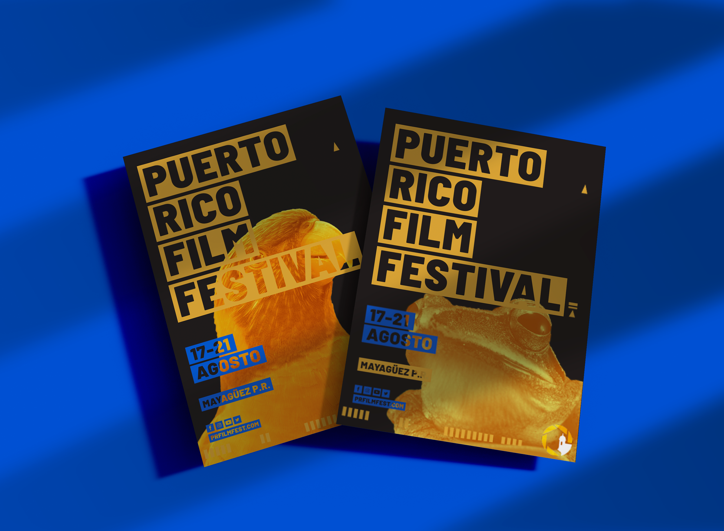 Carteles del Festival de Cine de Puerto Rico con imágenes de una ave y un sapo, indicando fechas del 17 al 21 de agosto en Mayagüez, Puerto Rico.