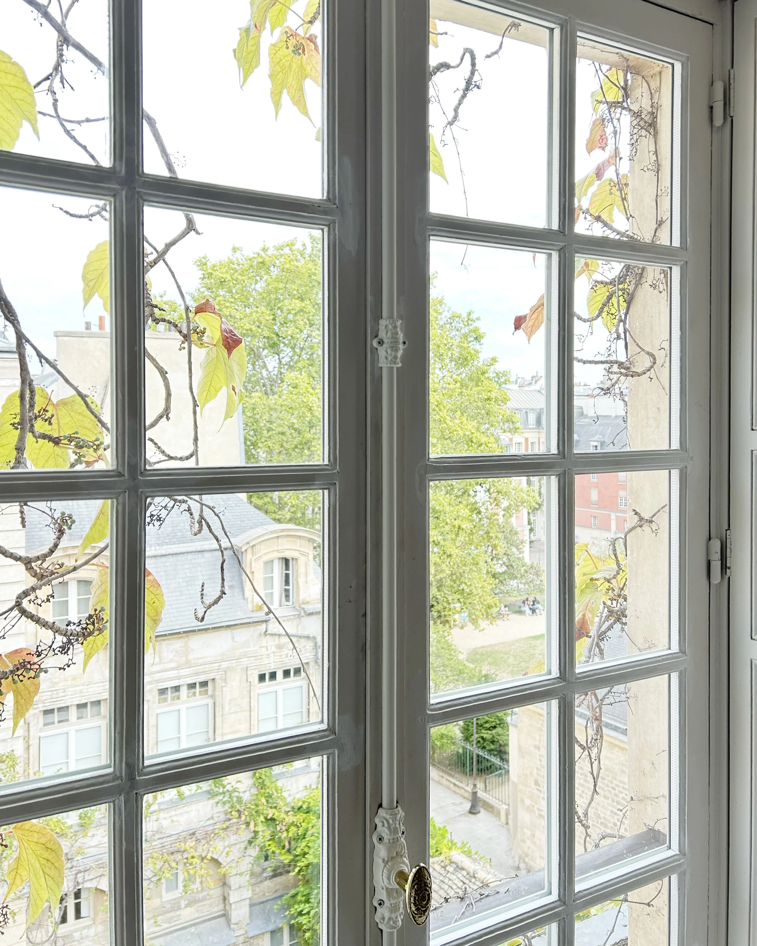Ajouter d'un vitrage phonique spécial et remplacement des crémones sur ce chantier