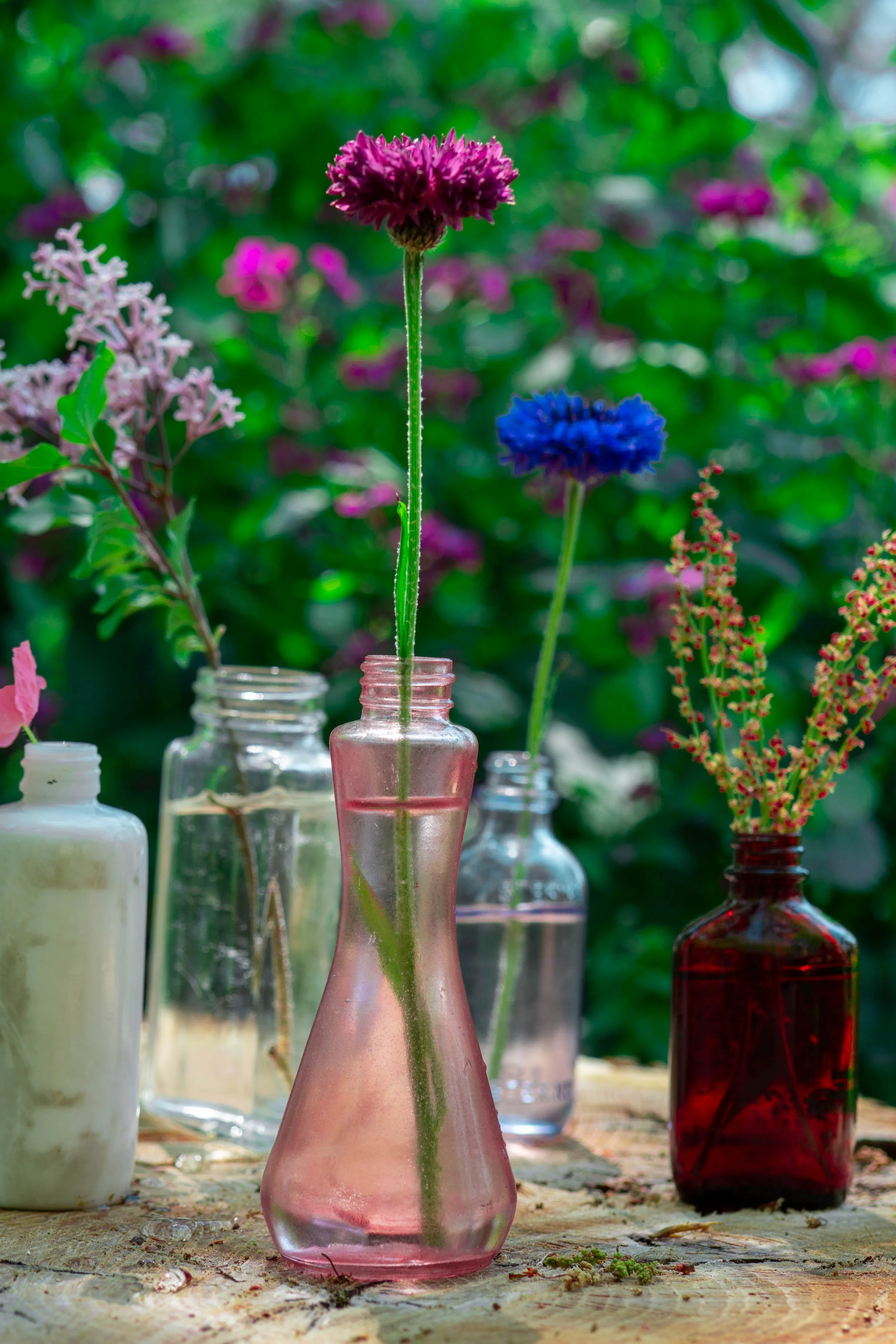 Colorful flowers in glass bottles on a wooden surface in a lush garden.