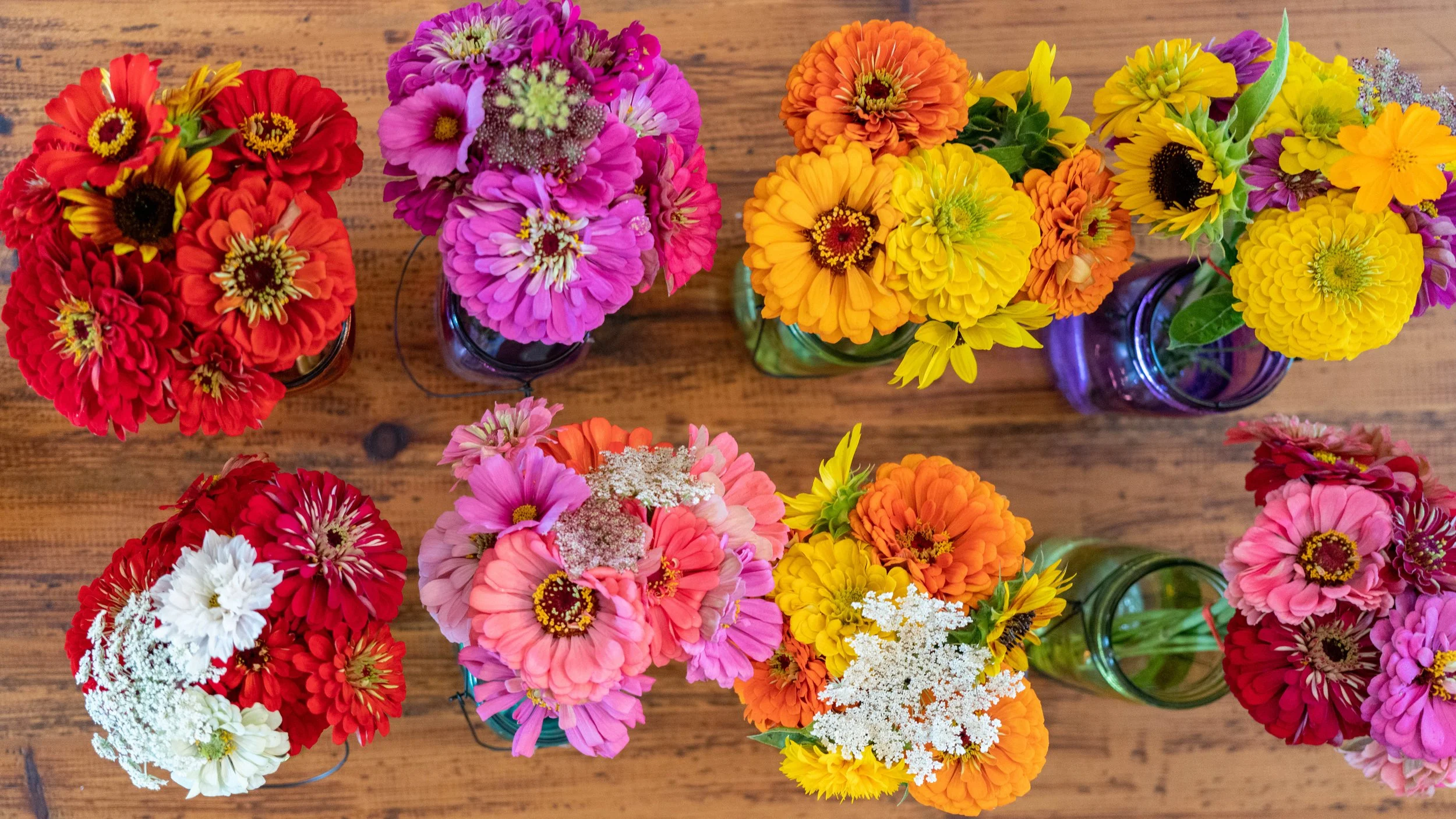 Top-down view of eight colorful flower arrangements in glass jars on a wooden surface, featuring a variety of brightly colored blooms like zinnias and other flowers in red, pink, orange, yellow, and purple.