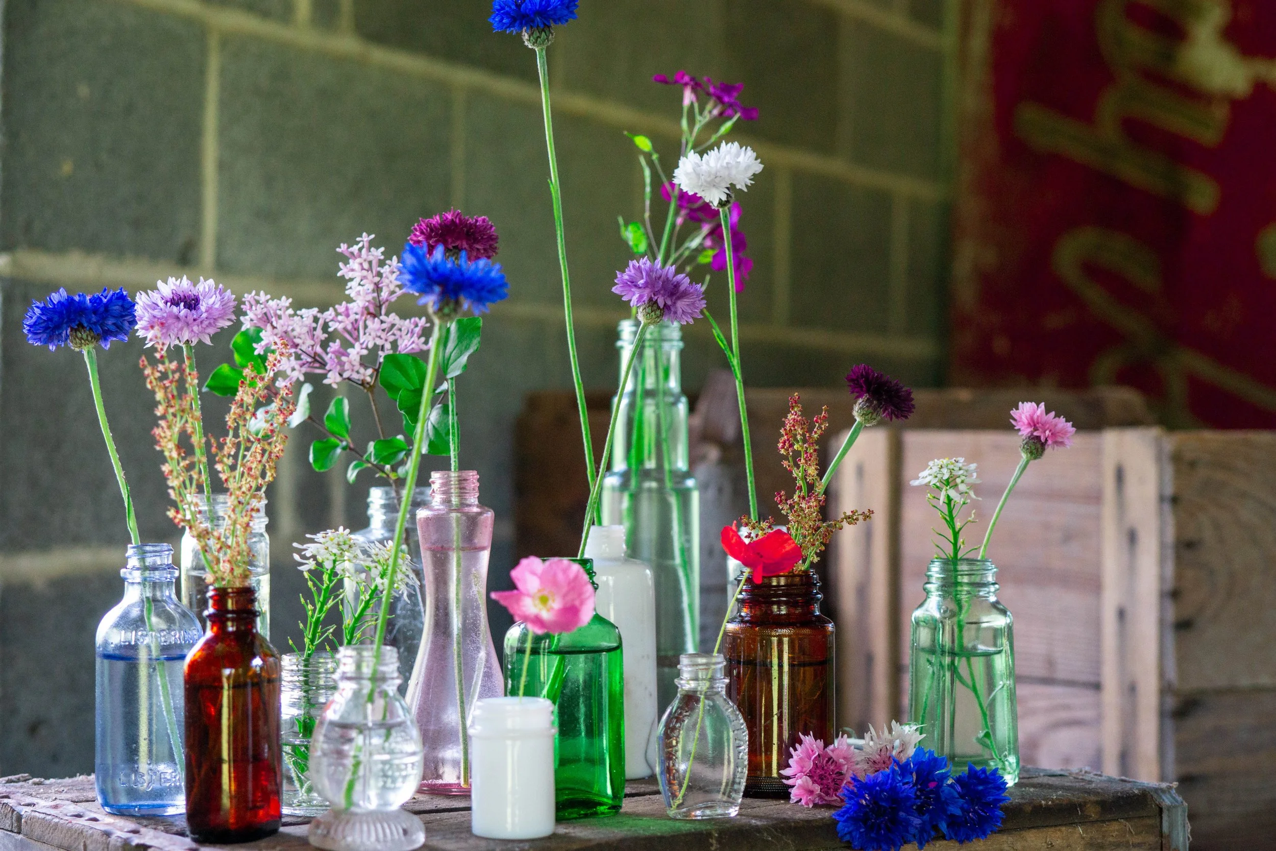 Various colorful flowers in glass bottles and jars on a wooden surface.