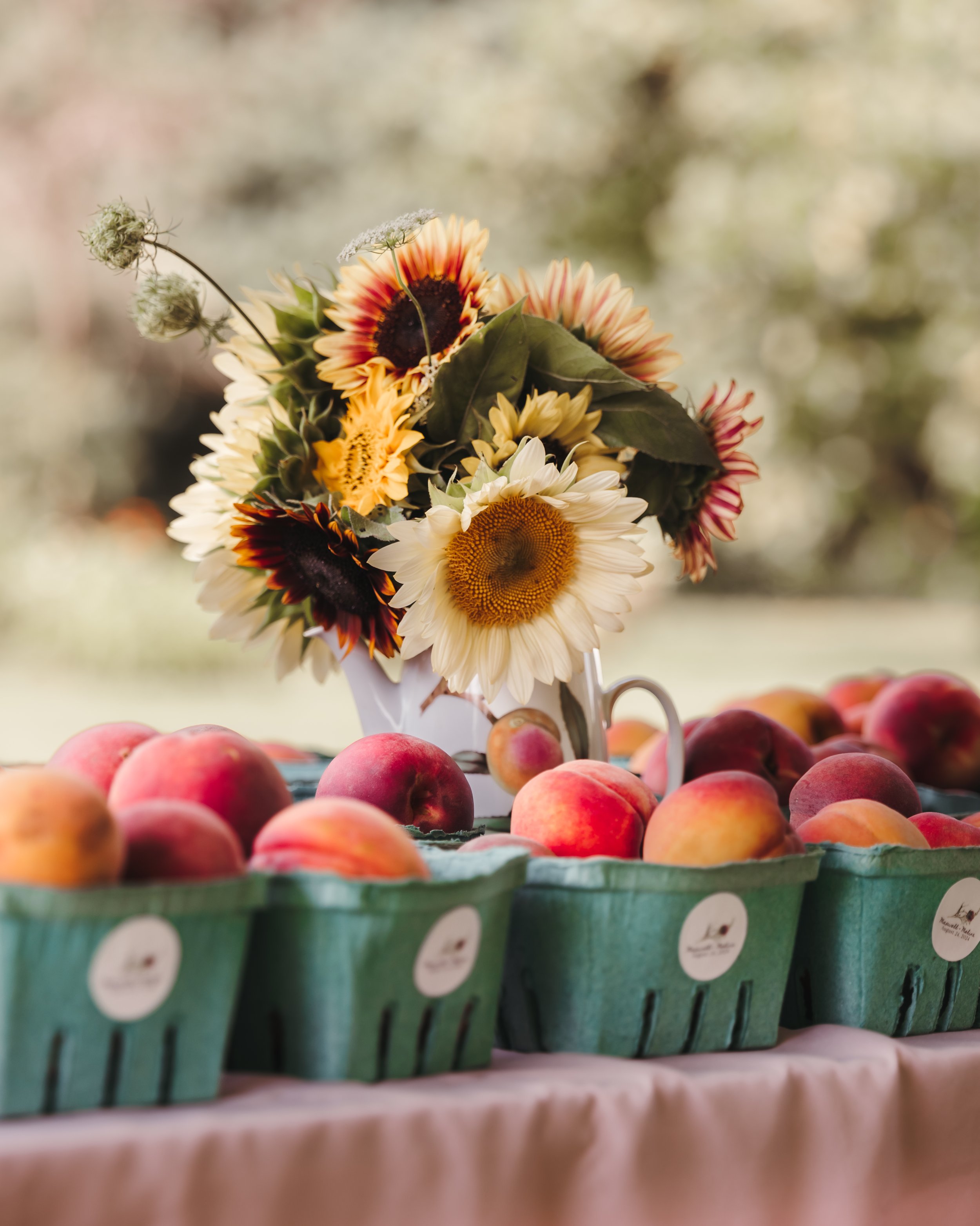 A table with peaches in green baskets and a bouquet of sunflowers and other flowers in a white container.