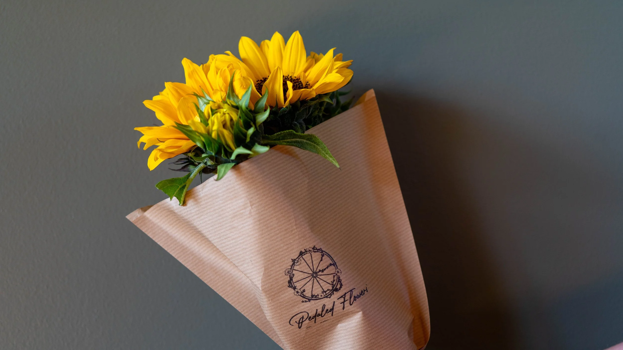 A bouquet of yellow sunflowers wrapped in pink paper with a black logo and the text 'Pedaled Flowers', attached to a gray wall.