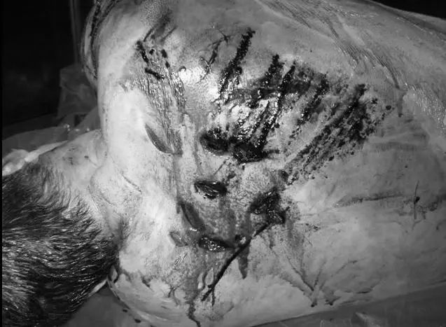 A close-up of a large fish with black markings on its body.