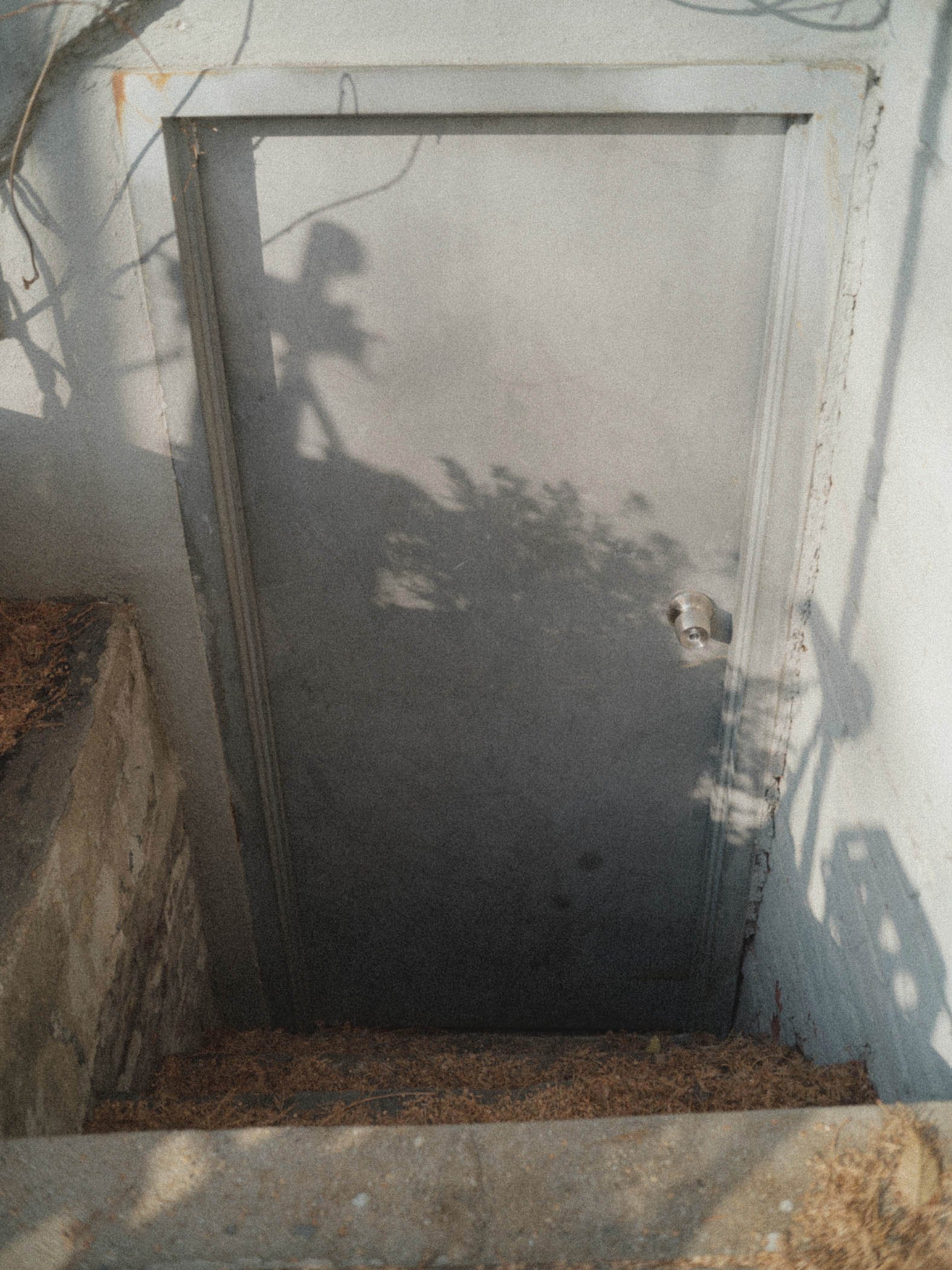 Concrete staircase leading down to a metal door with a doorknob, surrounded by a concrete wall and stone bricks, with shadows of plants cast on the door.
