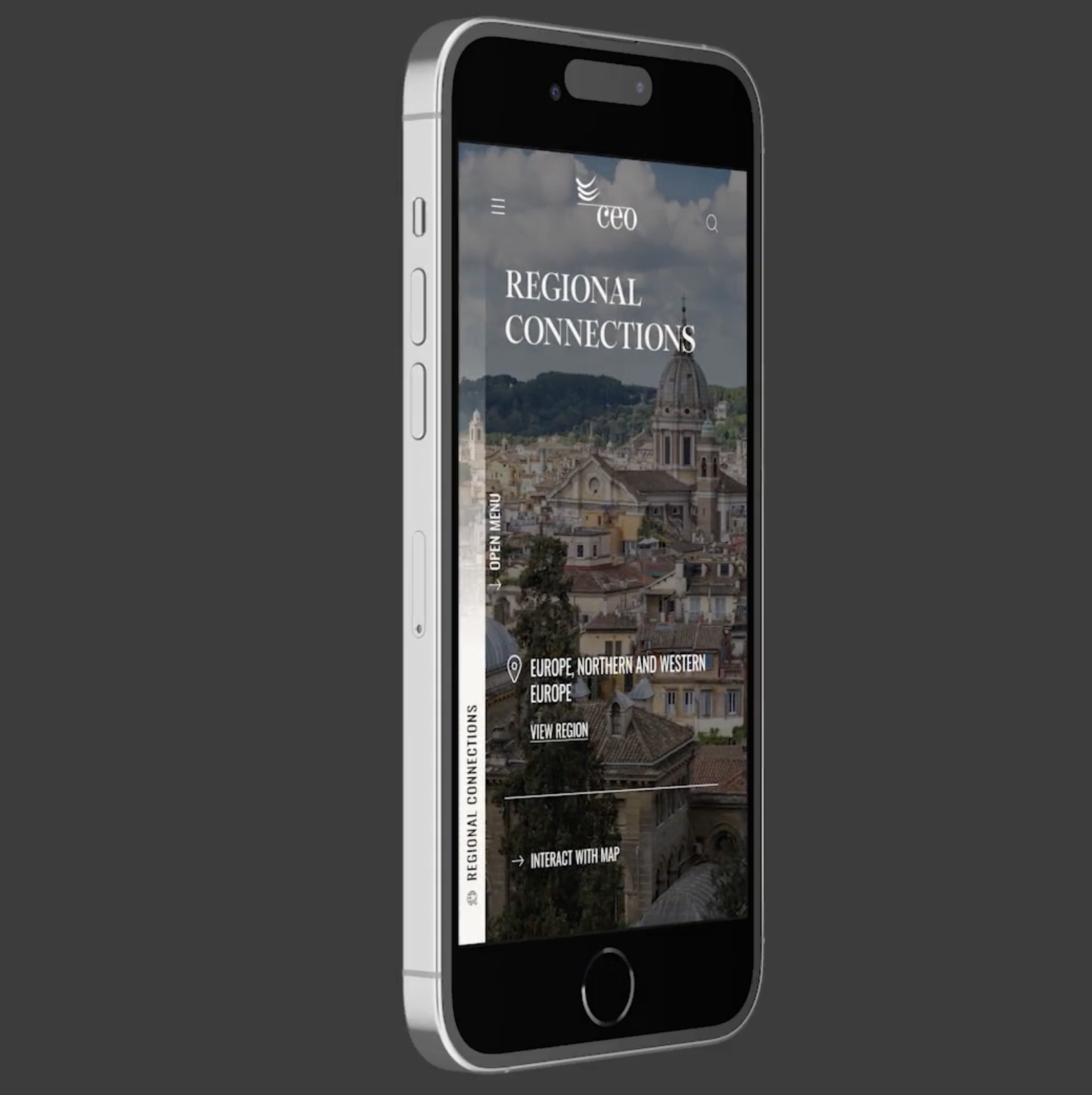 Chief Executives Organization