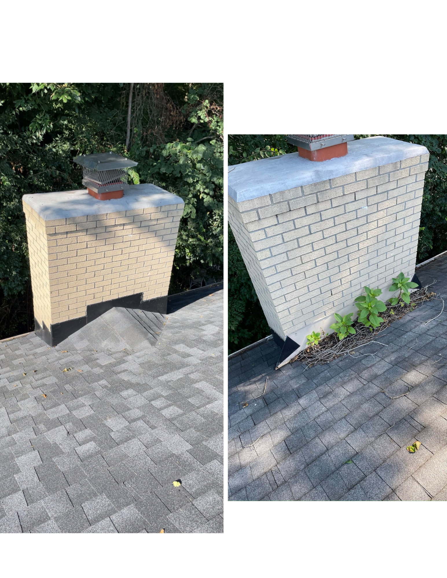 Untitled design (26).png