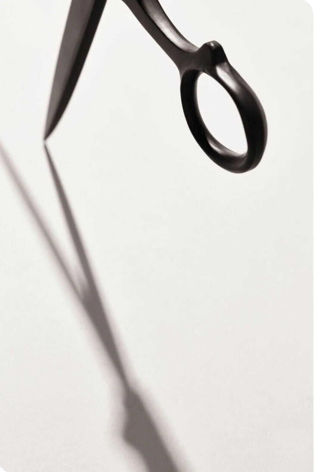 01. THE CUT
