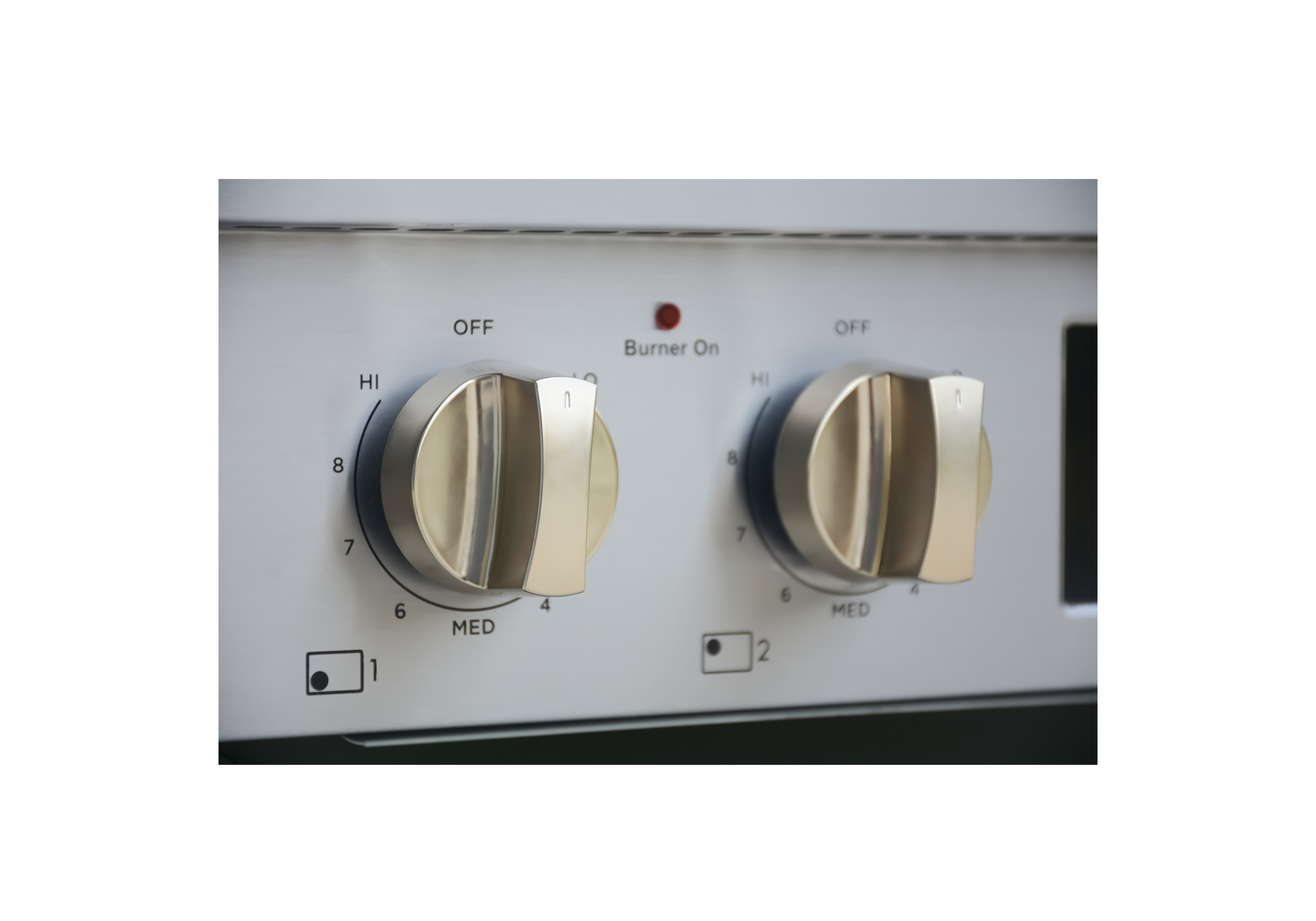 VFSFR vitara slideshow 2.png