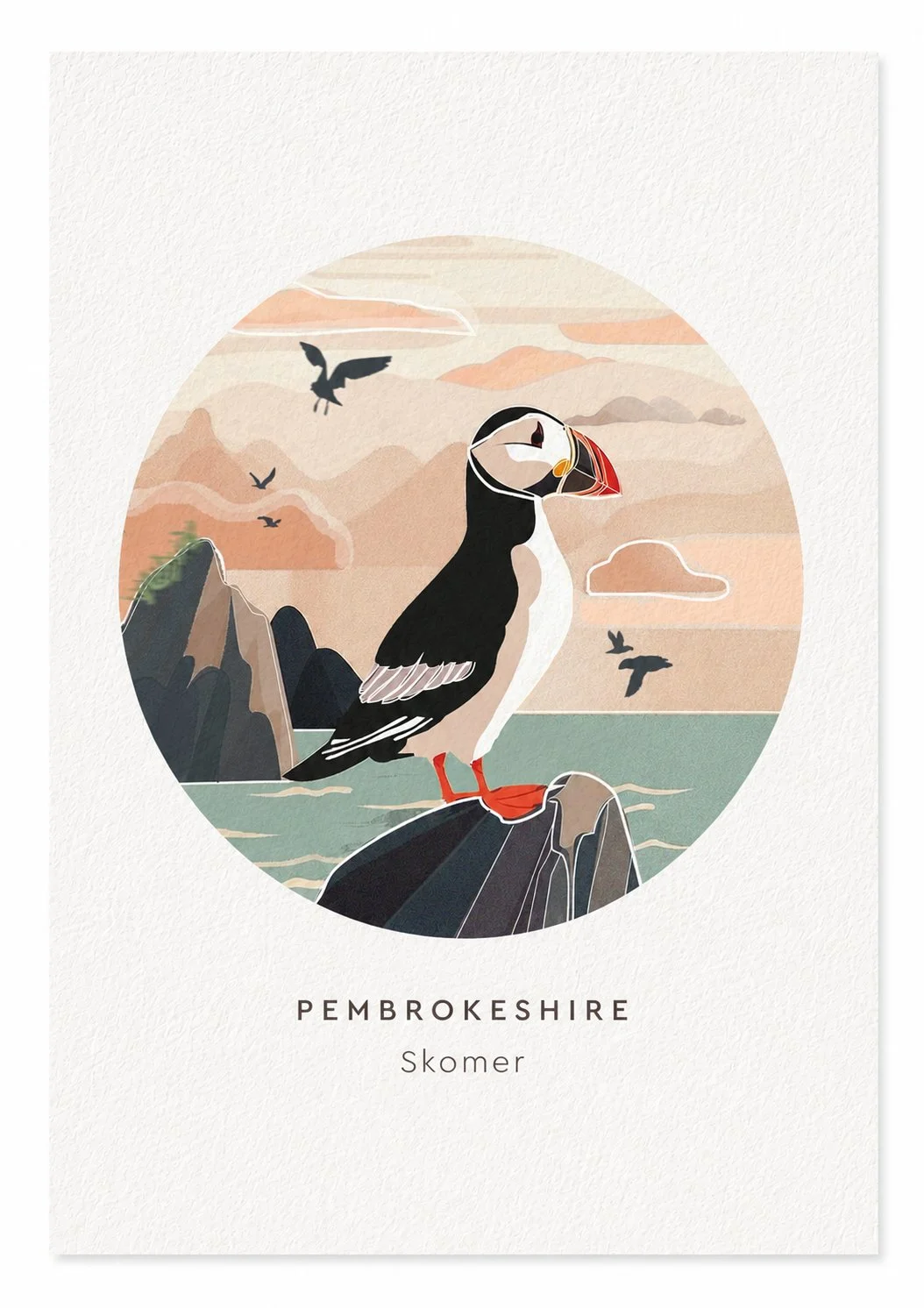 skomer_postcard.jpg