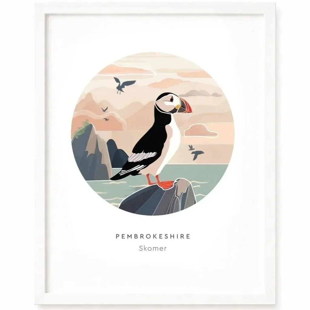 Skomer Print