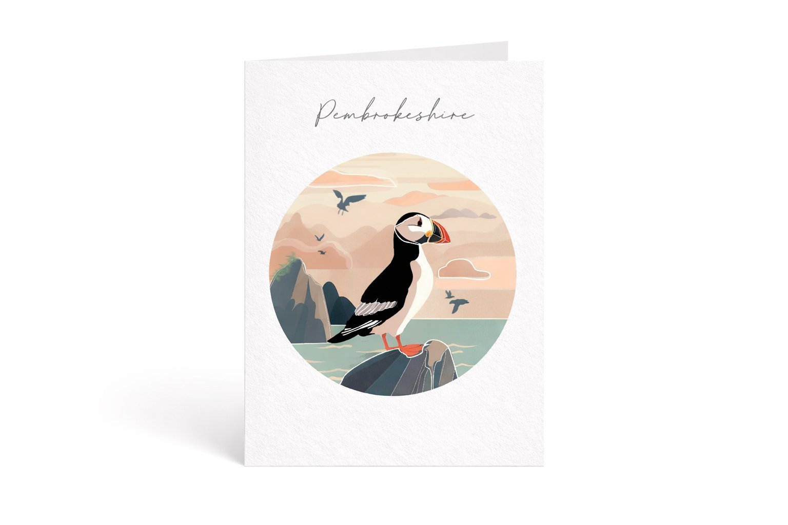 Pembrokeshire Greetings Cards (pack of 4)