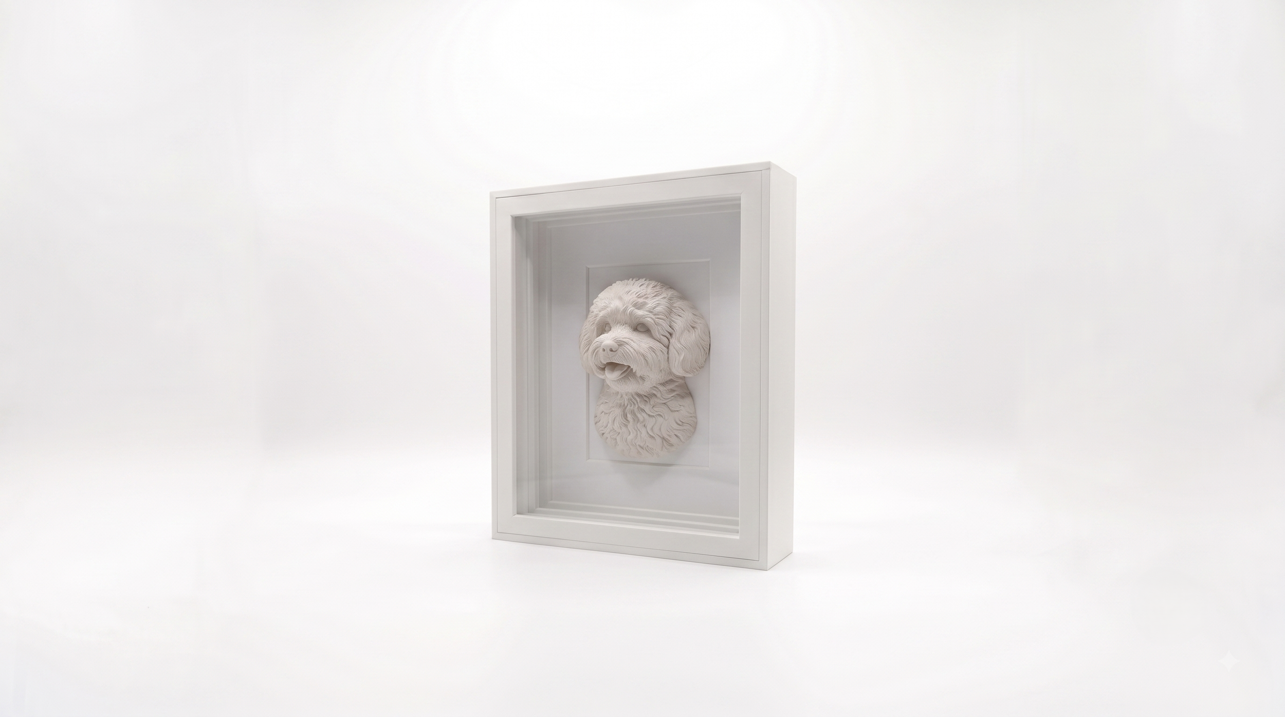 Havanese Portrait.png