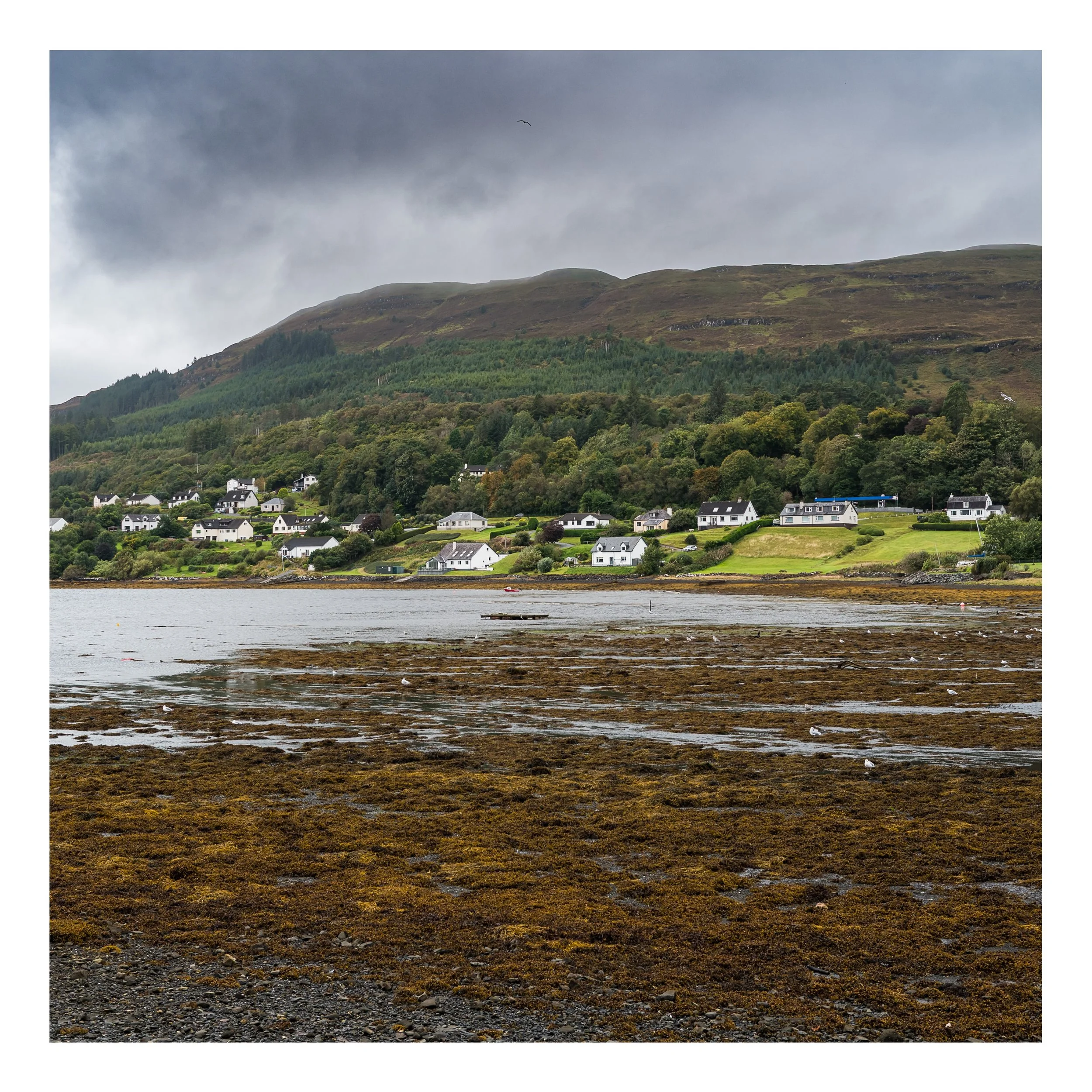 Square%20Space%20Scottland-128 80 Edited.jpg