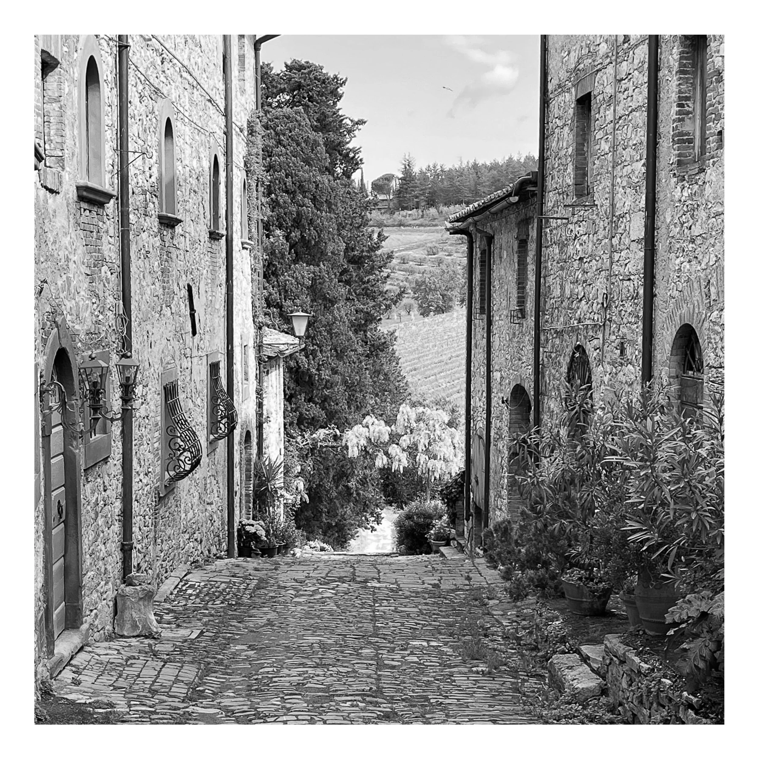 Square%20Space%20IItaly-35 15 Edited.jpg
