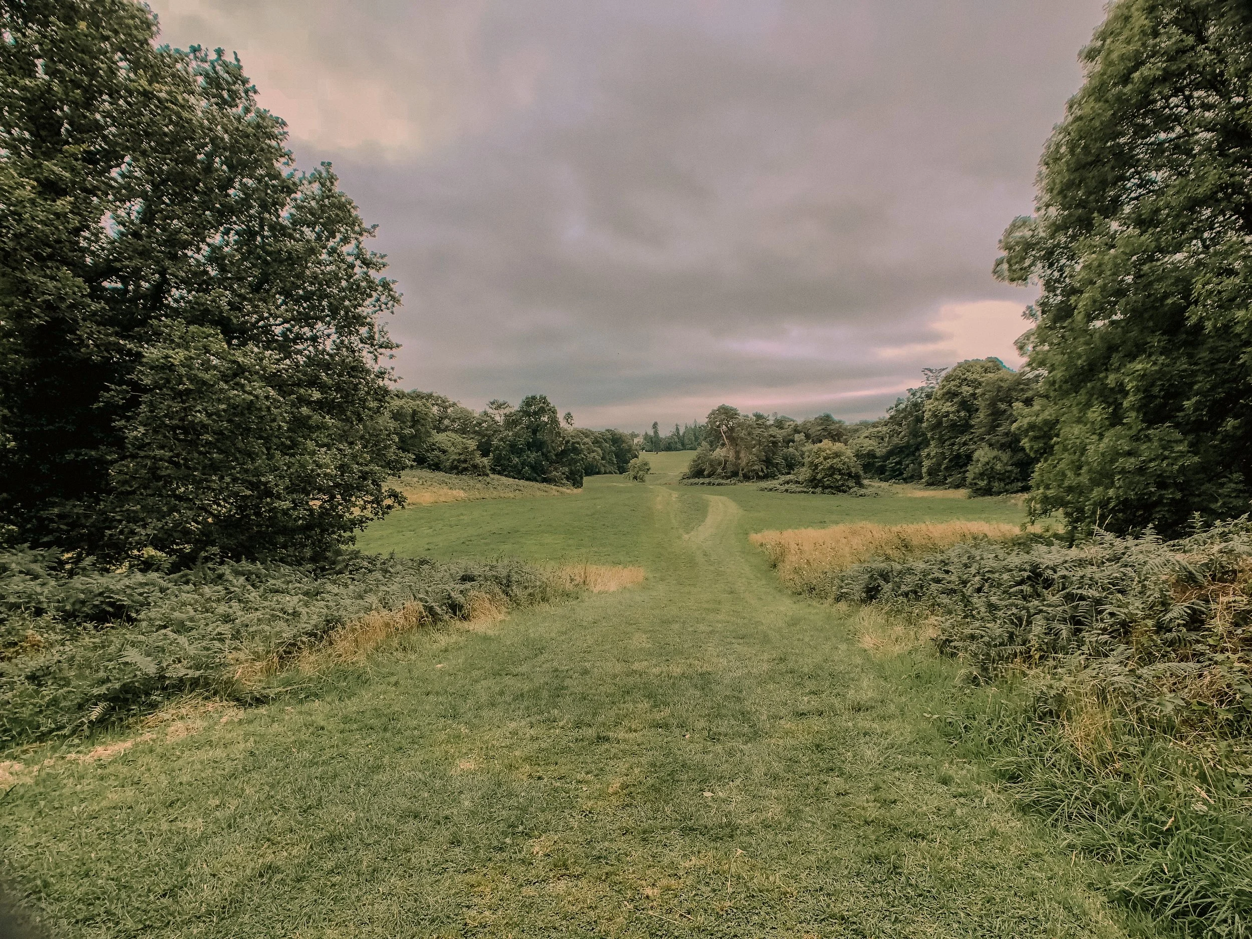 Ireland Square Space-015.jpg