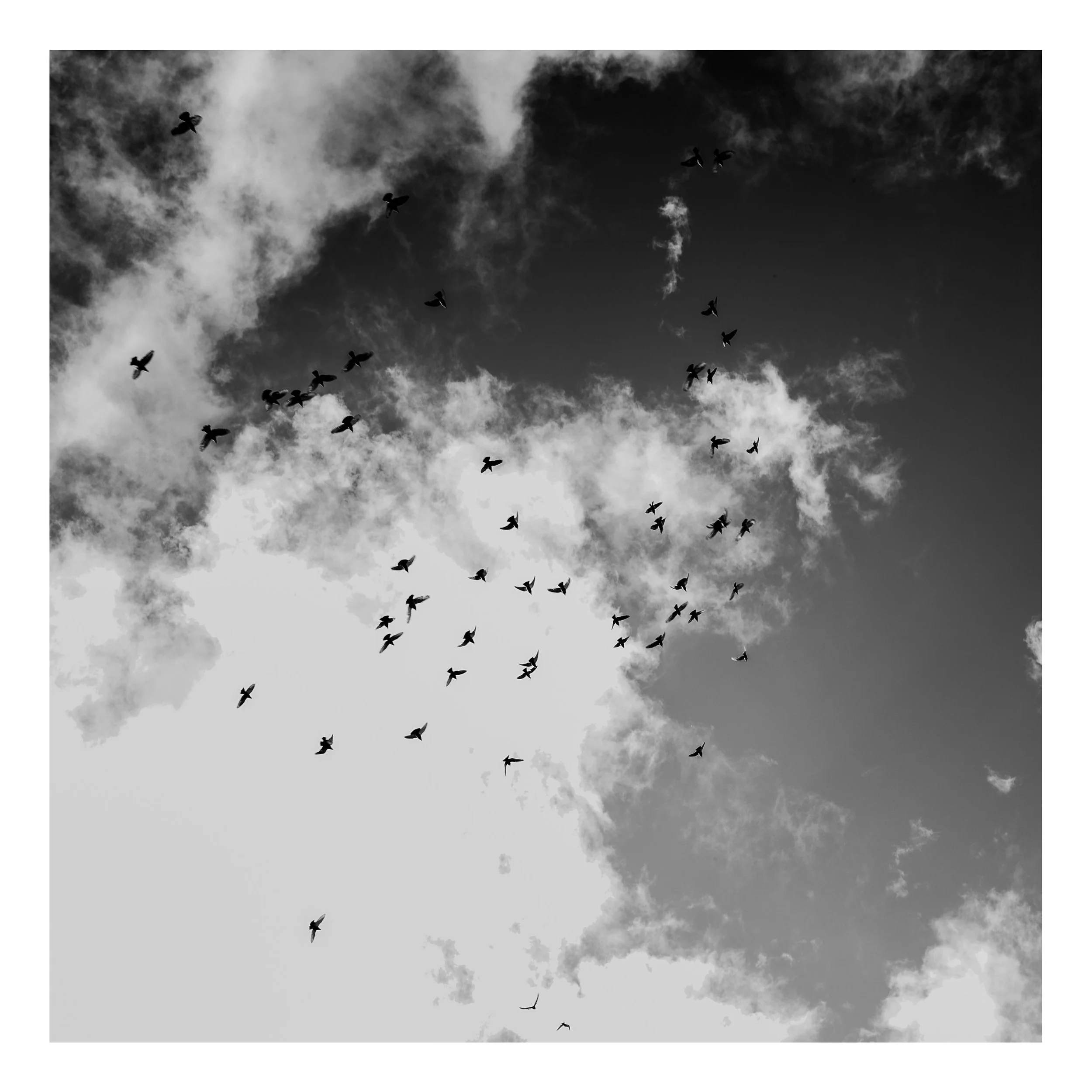 Square%20Space%20Scottland-141 43 Edited.jpg