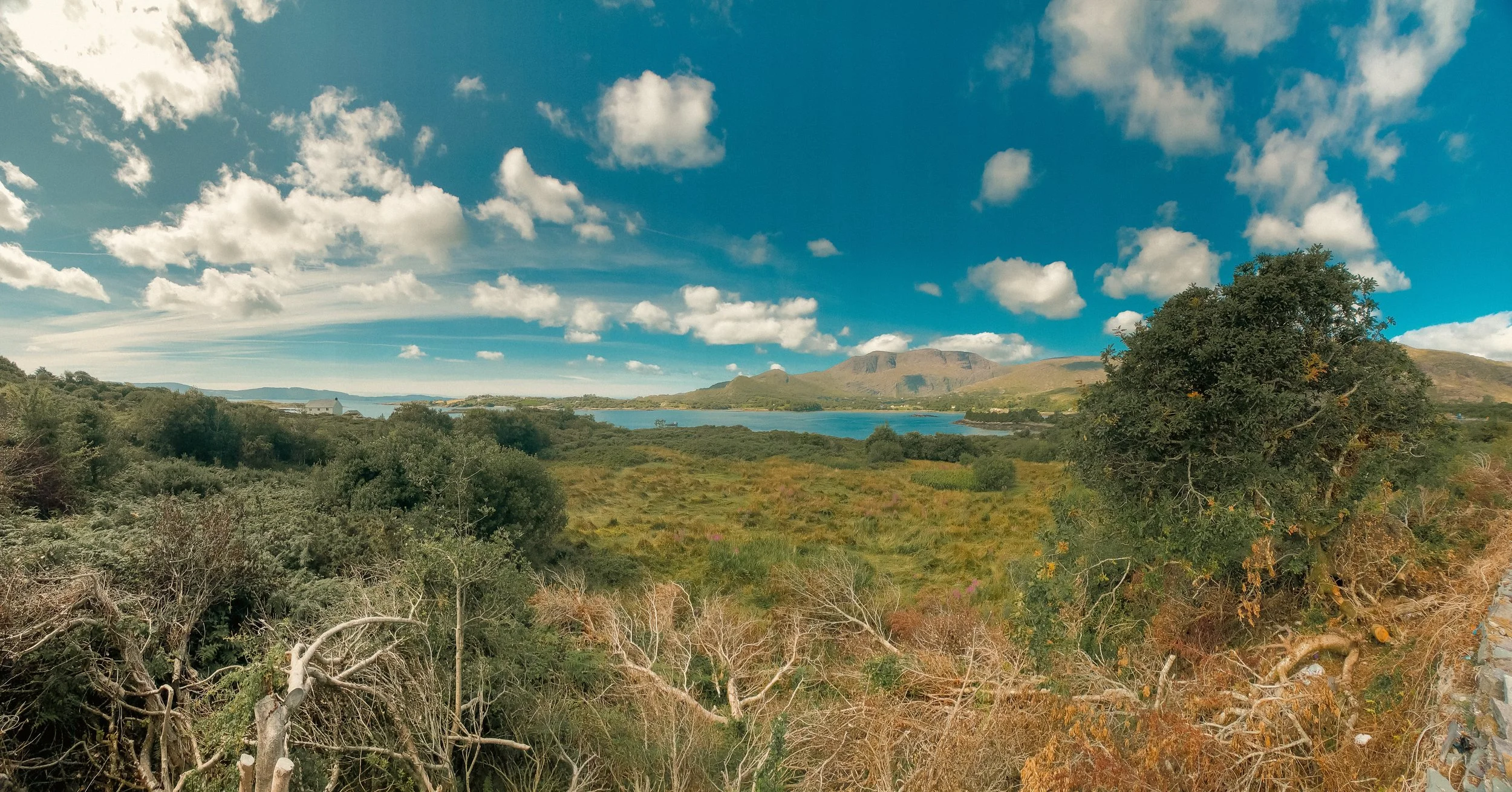 Ireland Square Space-075.jpg