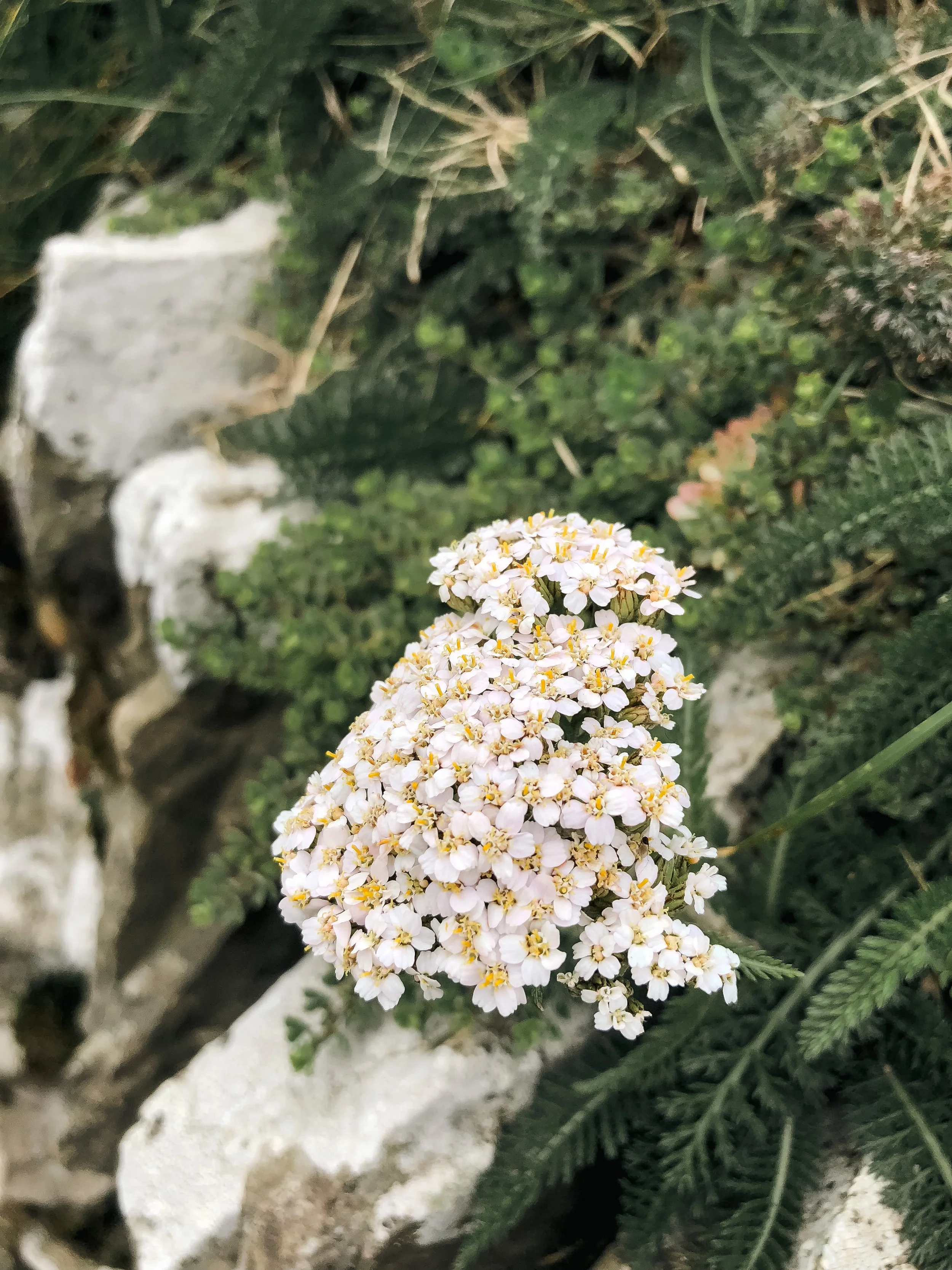 Ireland Square Space-055.jpg