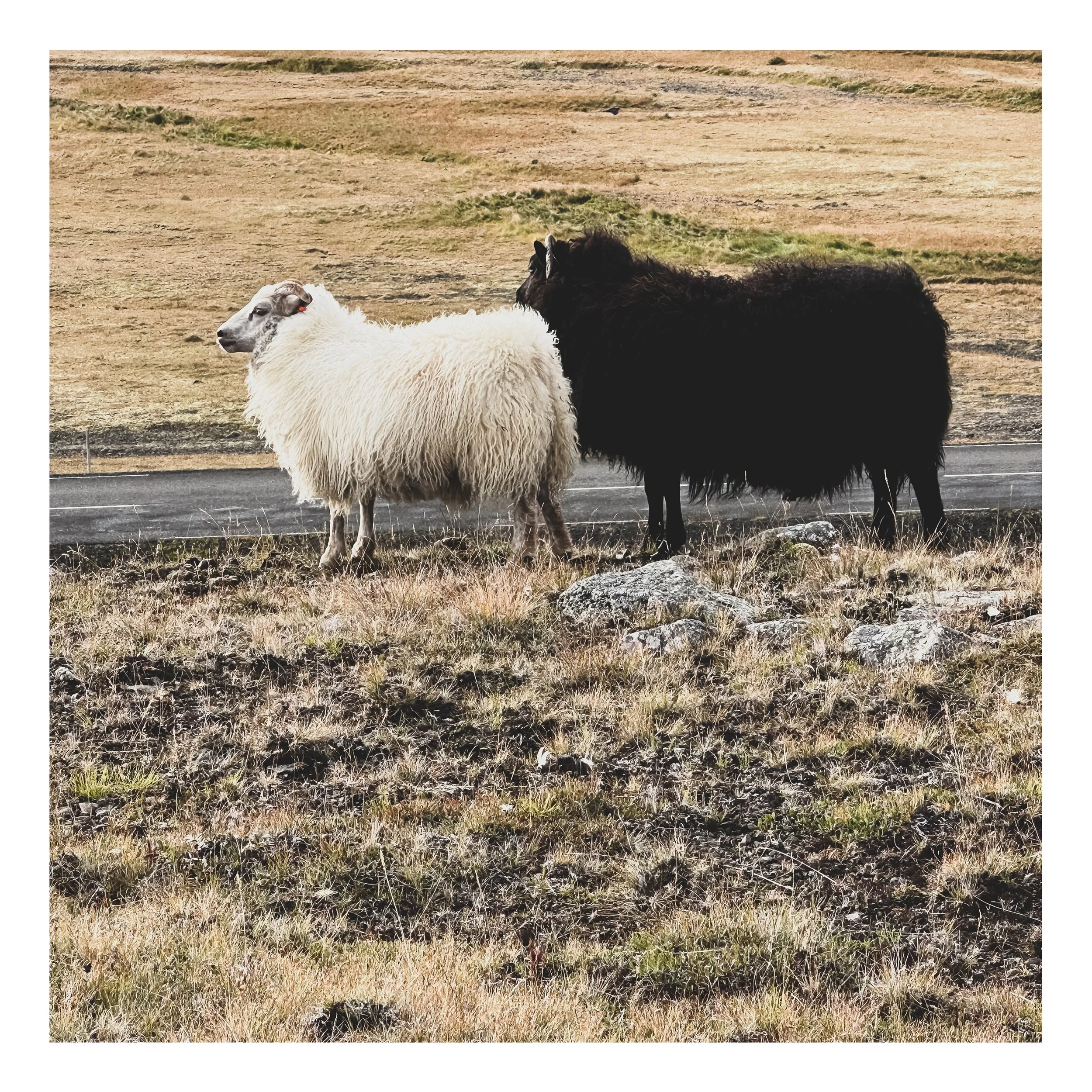 Square%20Space%20Iceland%20-20 15 Edited.jpg