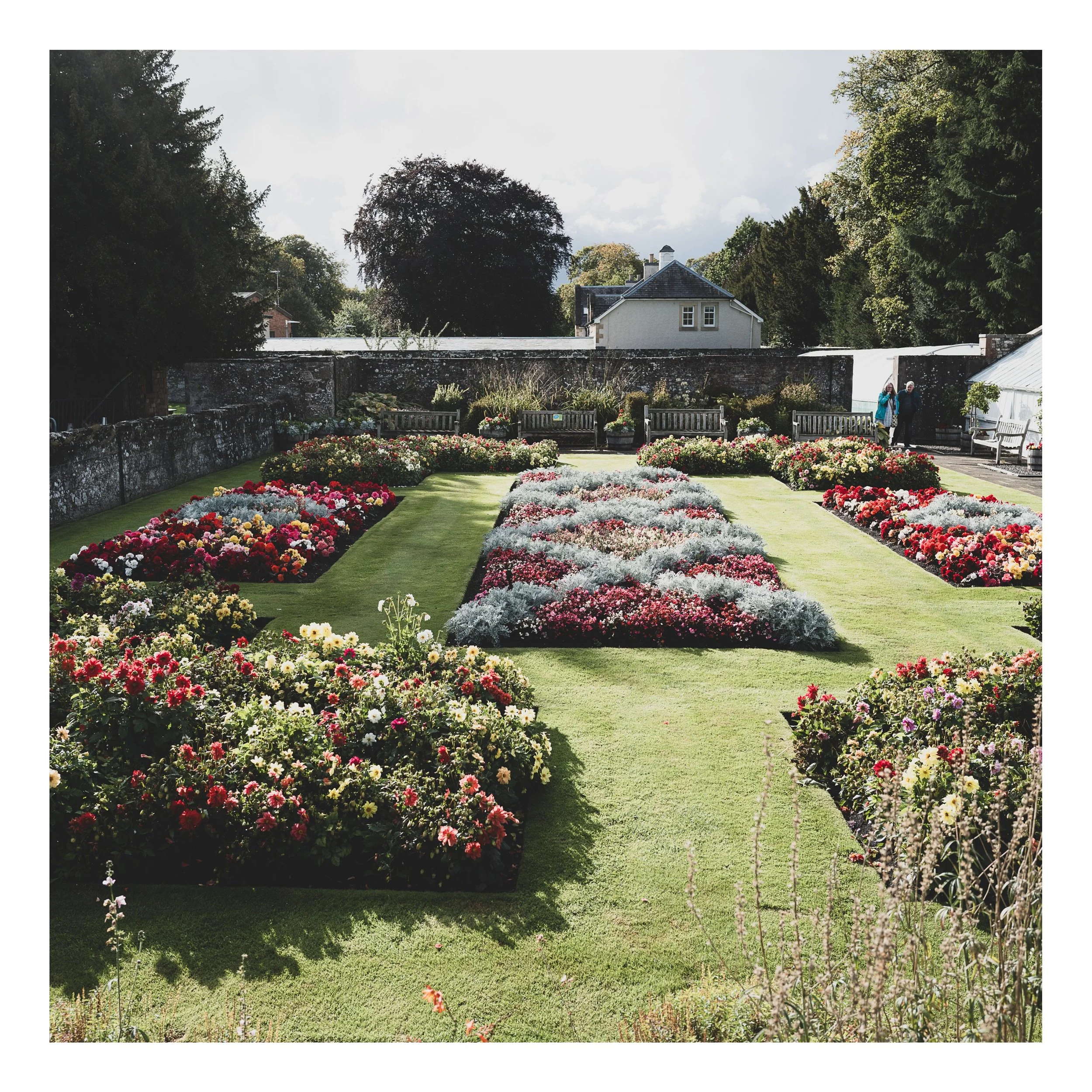 Square%20Space%20Scottland-140 44 Edited.jpg
