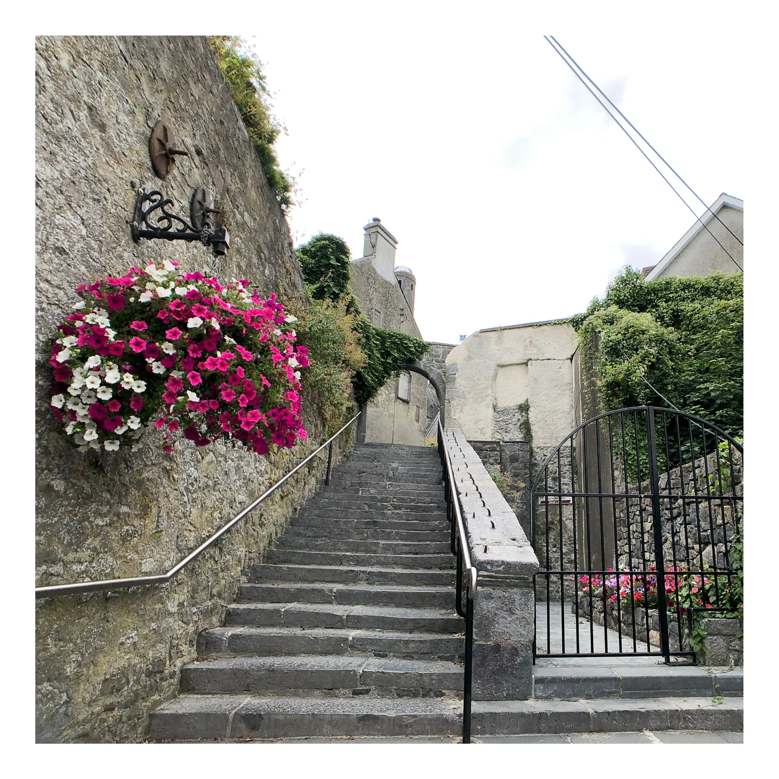 Square%20Space%20Ireland-109 19 Edited.jpg