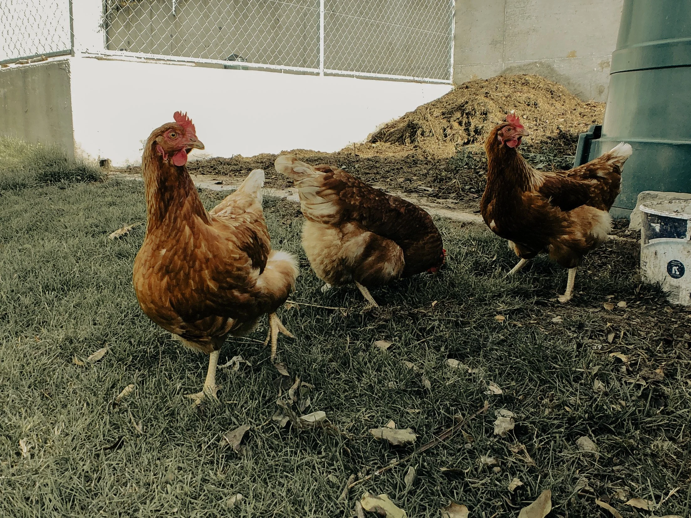 Ireland Square Space-103.jpg