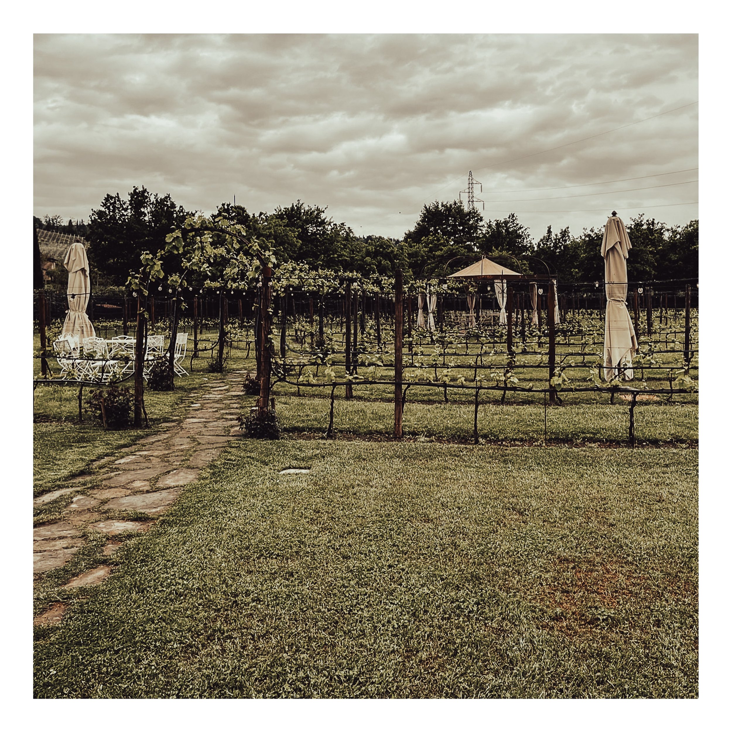 Square%20Space%20IItaly-39 11 Edited.jpg