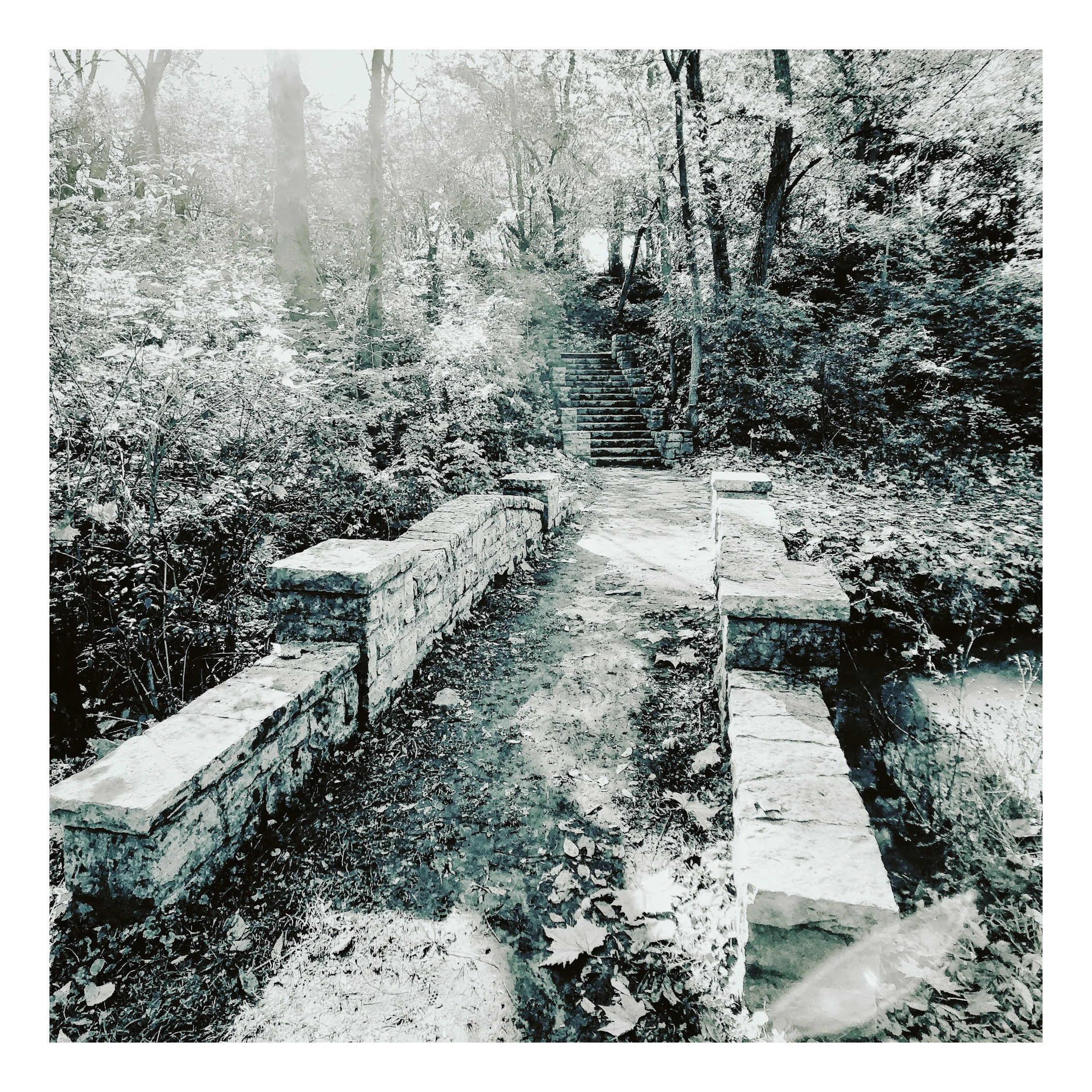 A black and white photo of a wooded trail with stone steps leading up into a forested area.