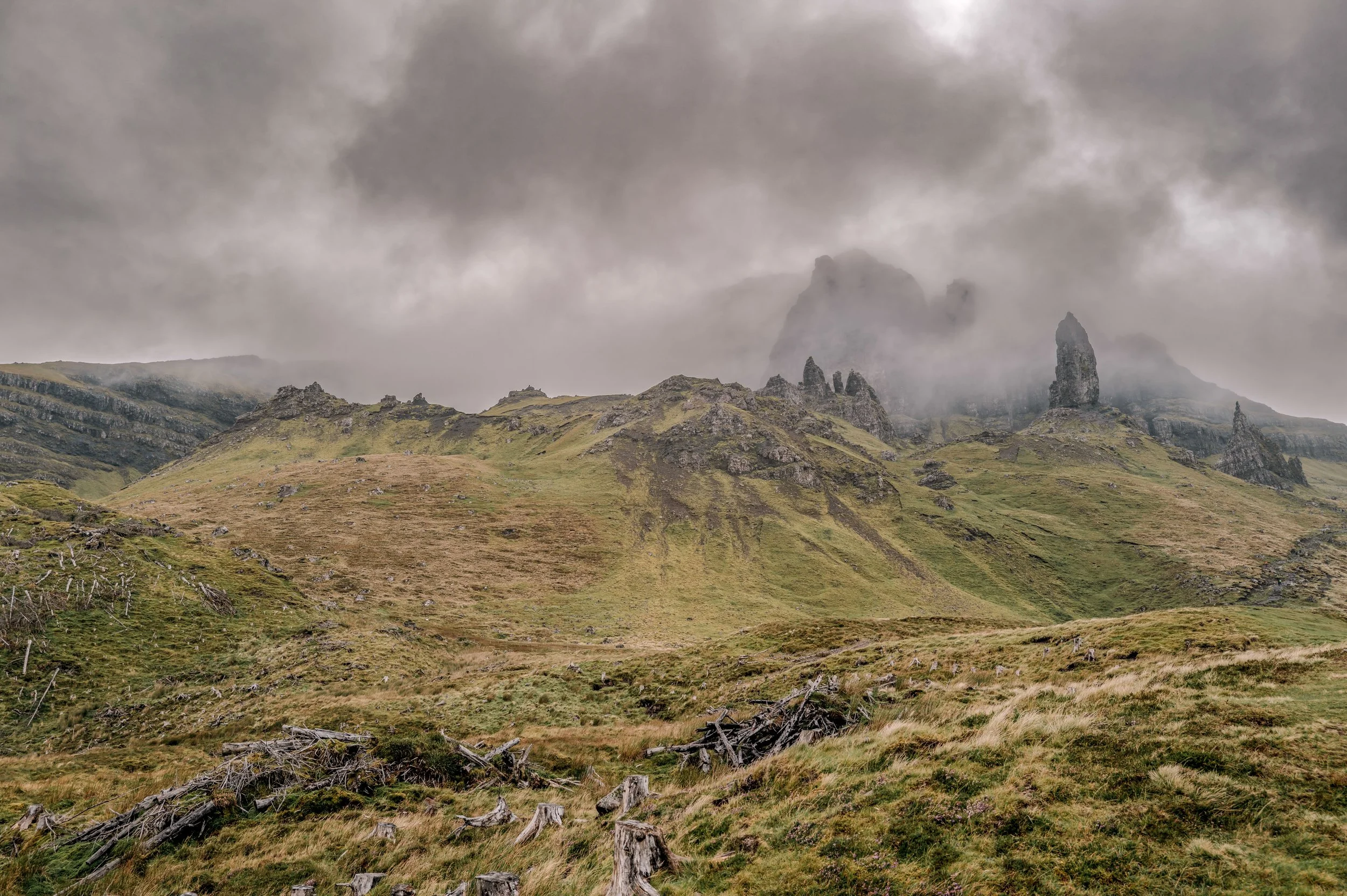 Square Space Scotland -88.jpg