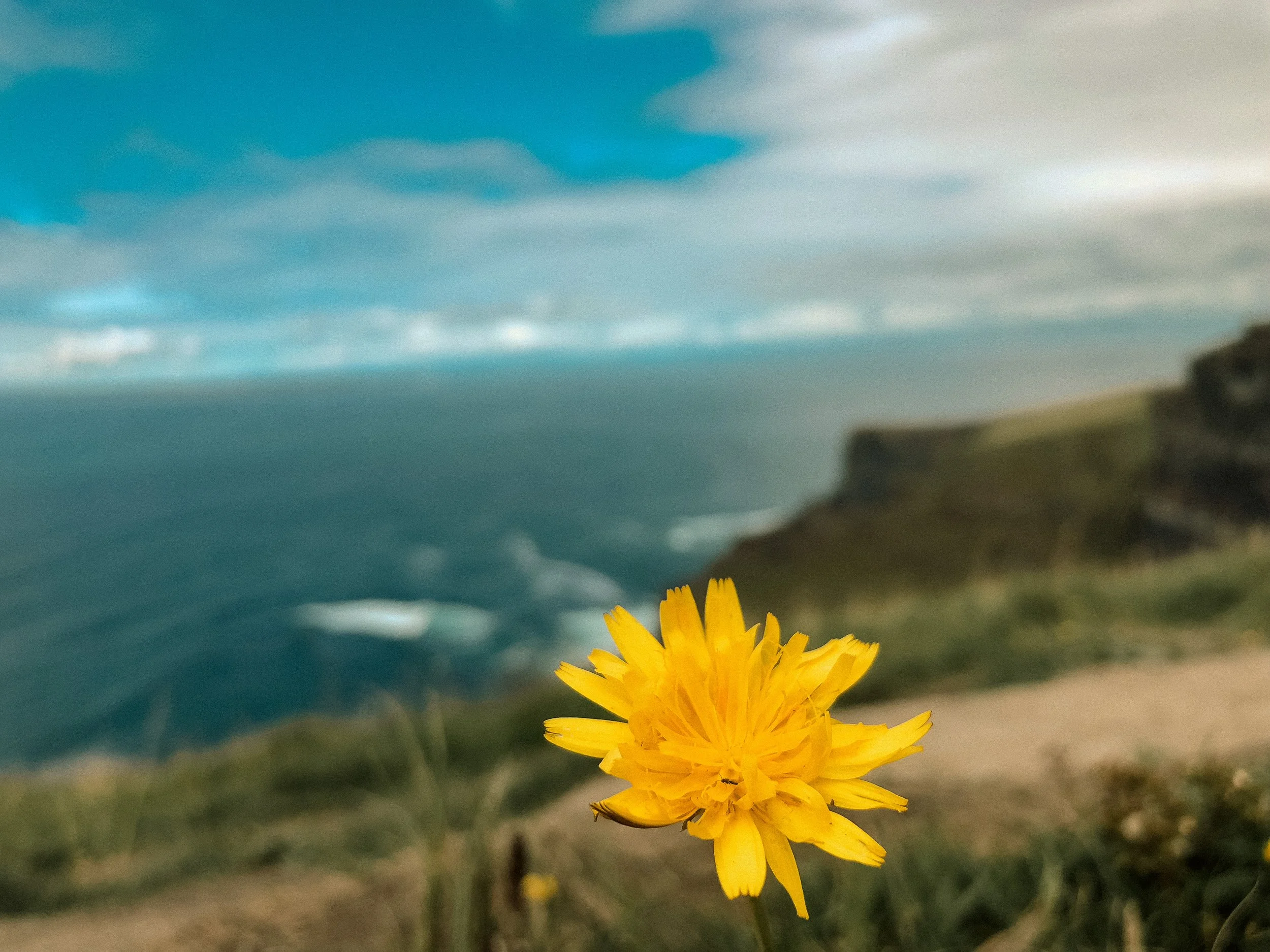 Ireland Square Space-056.jpg