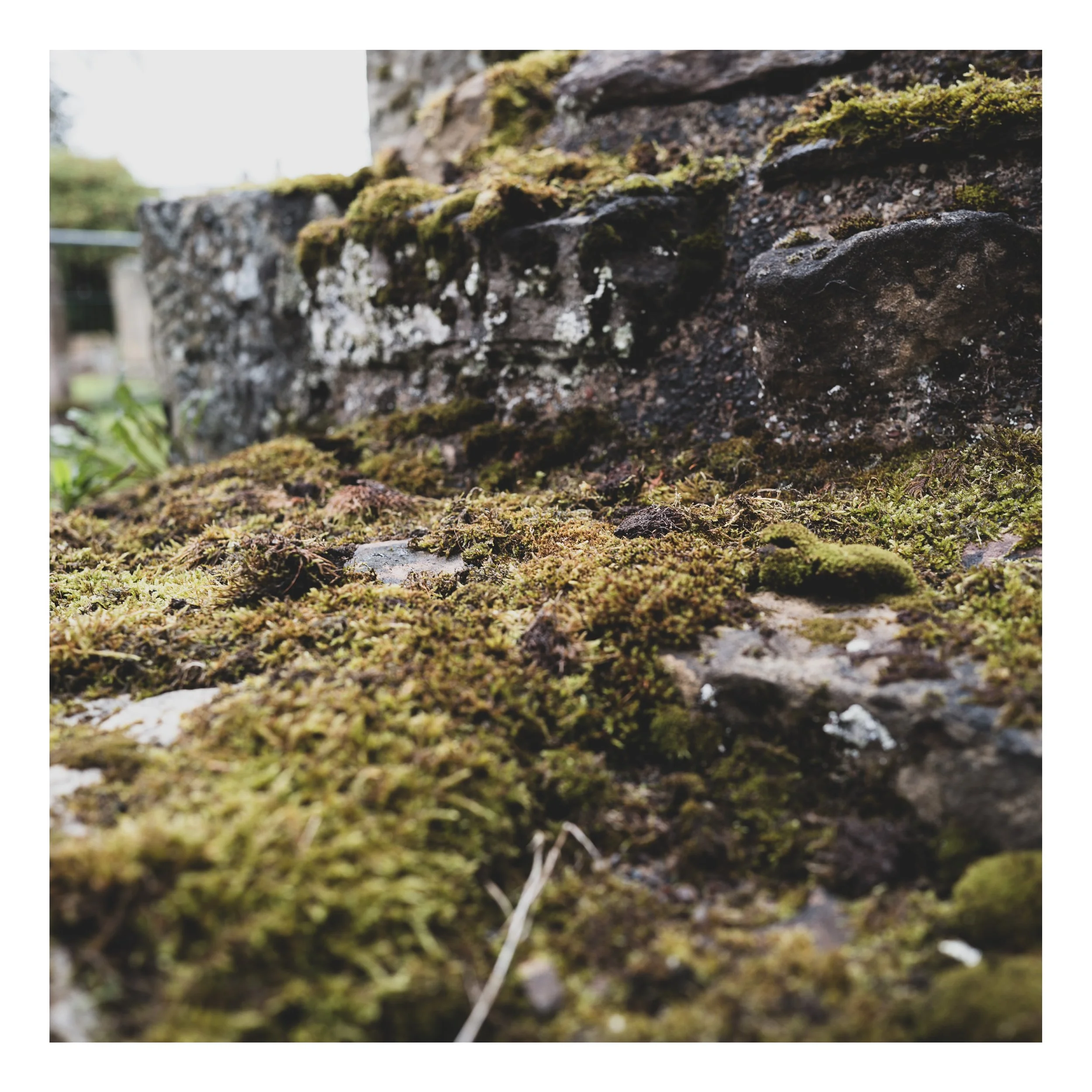 Square%20Space%20Scottland-148 36 Edited.jpg