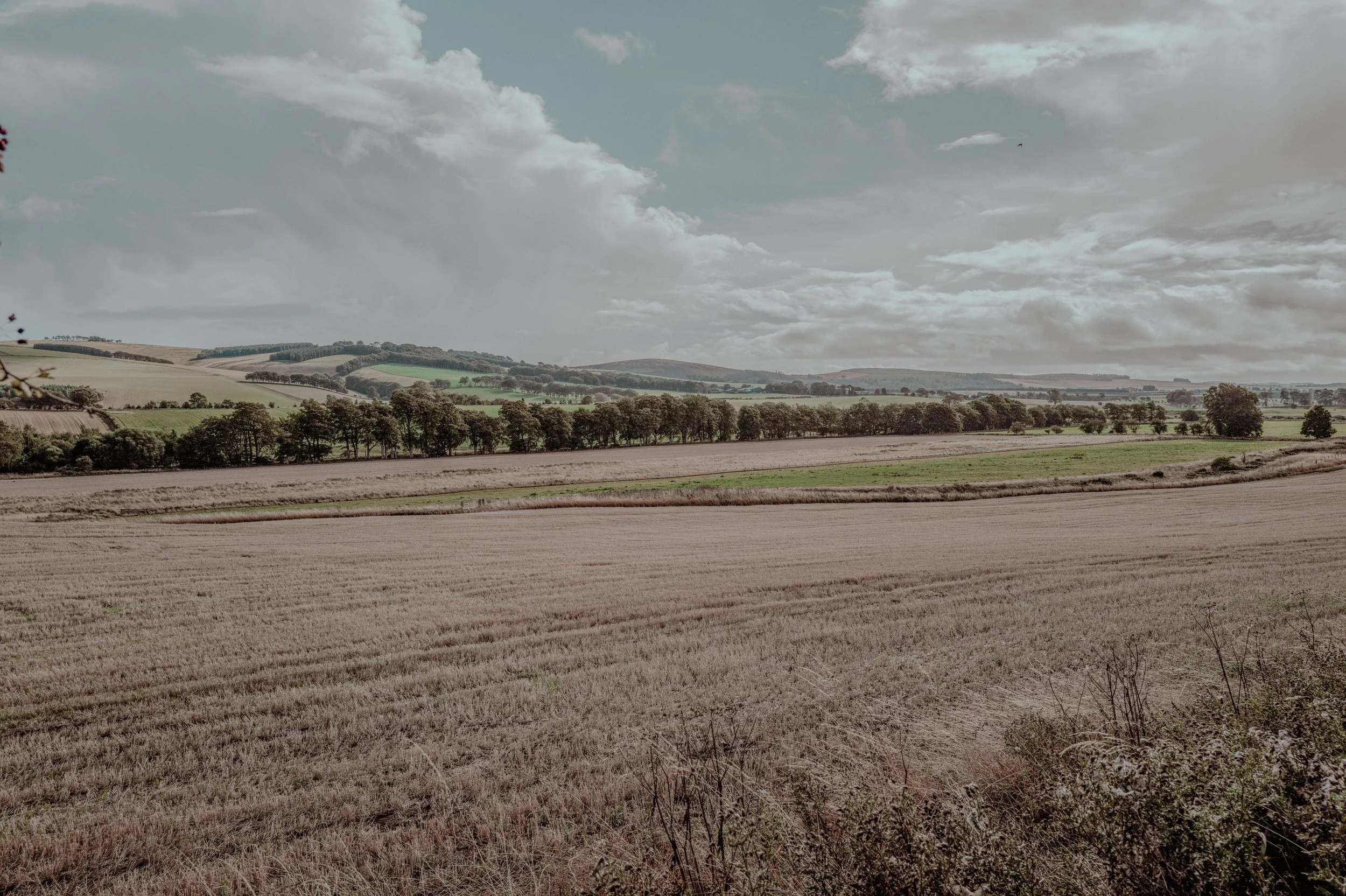 Square Space Scotland -093.jpg