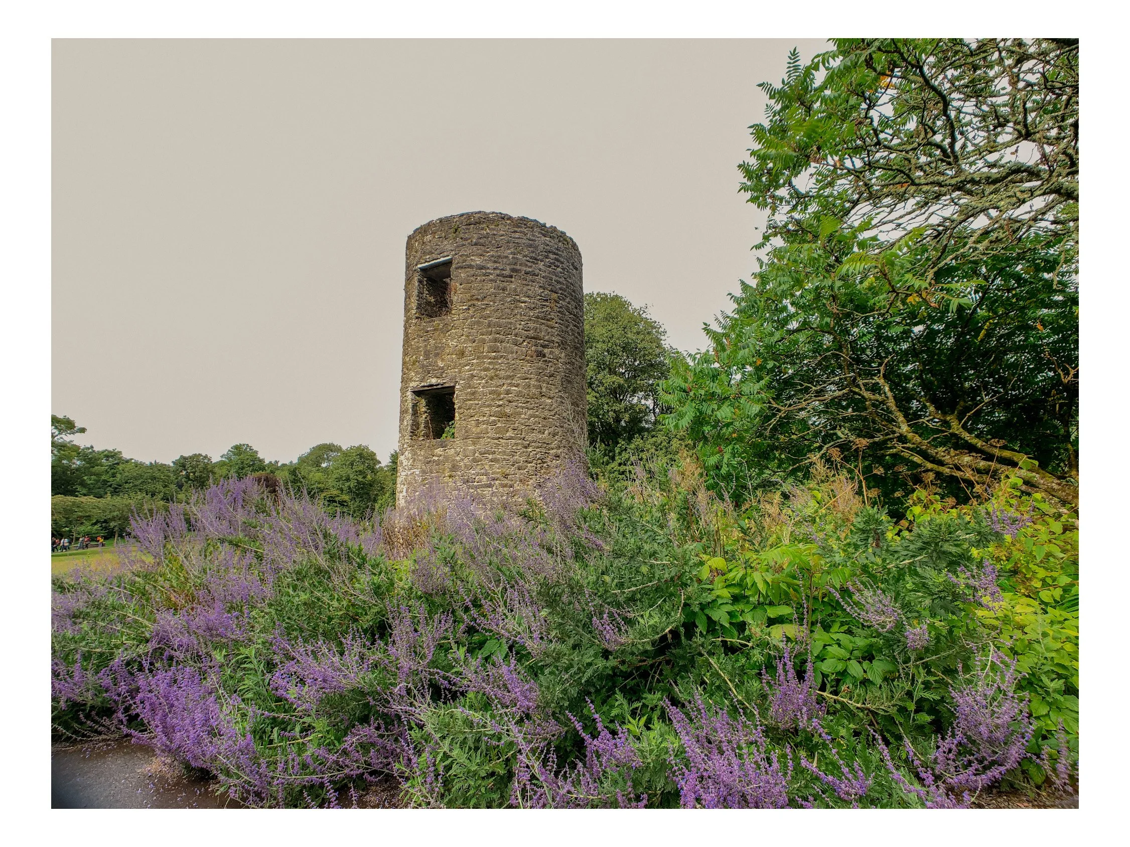 A stone tower surrounded by lush green trees and purple wildflowers under a cloudy sky.