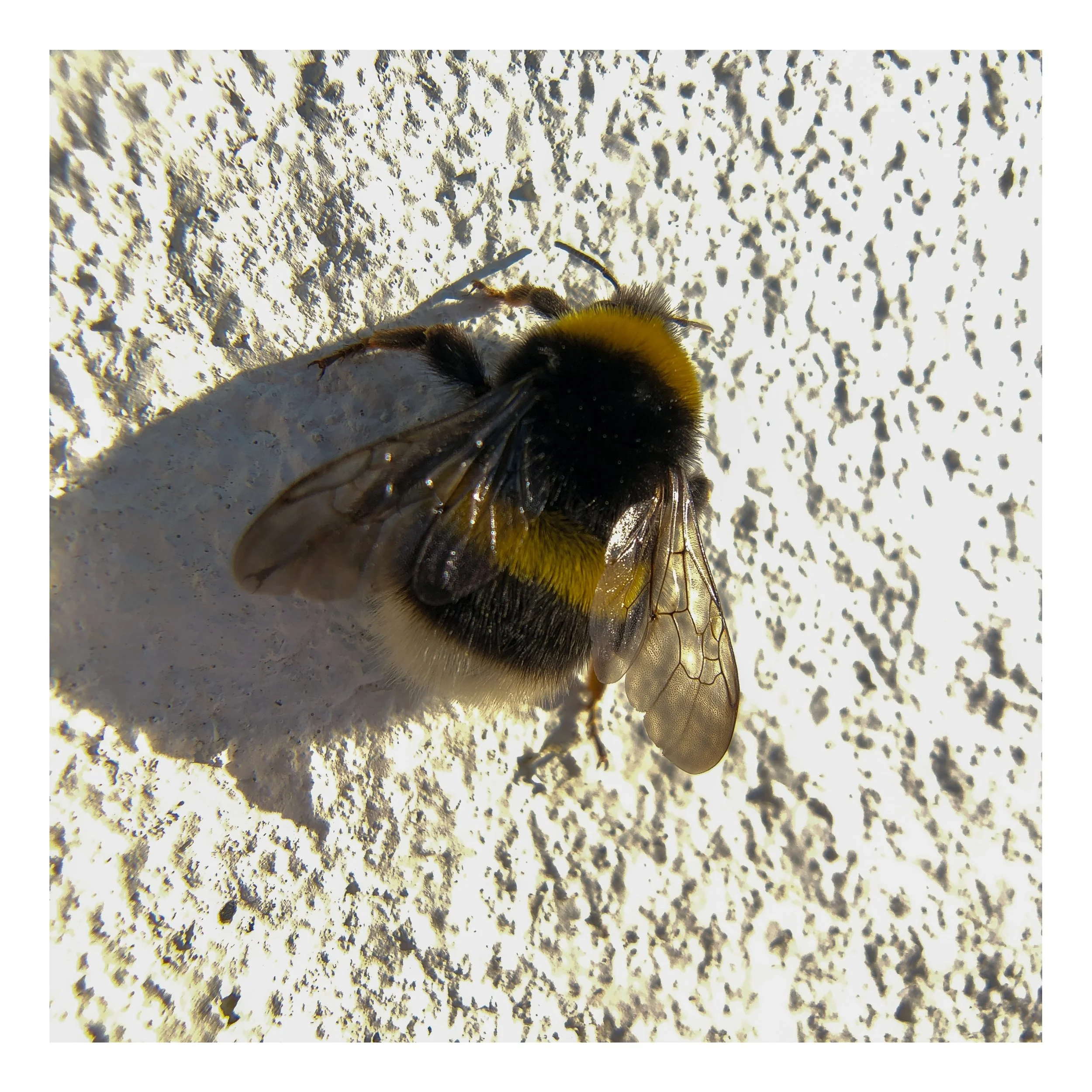 Square%20Space%20Ireland-098 30 Edited.jpg