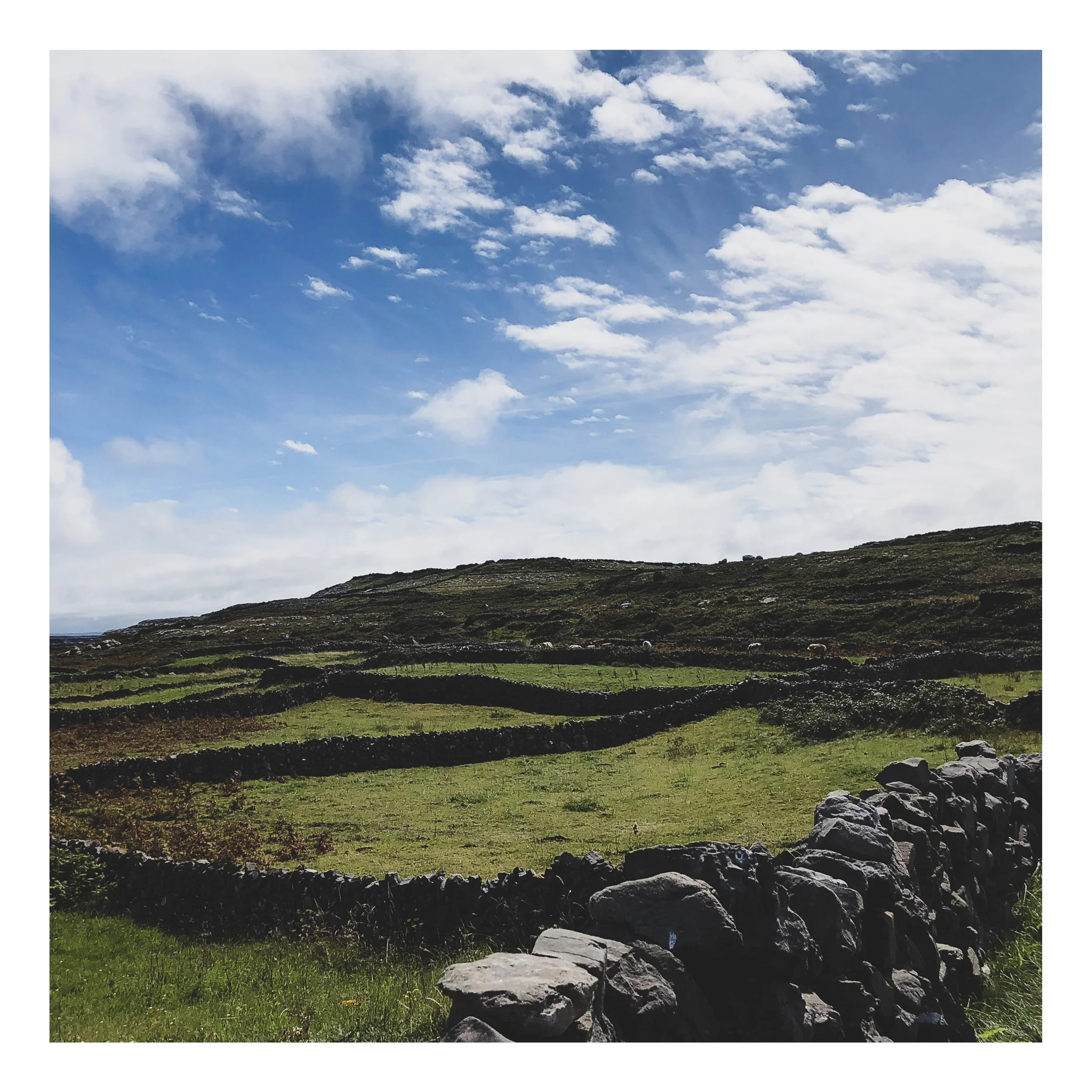 Square%20Space%20Ireland-041 87 Edited.jpg