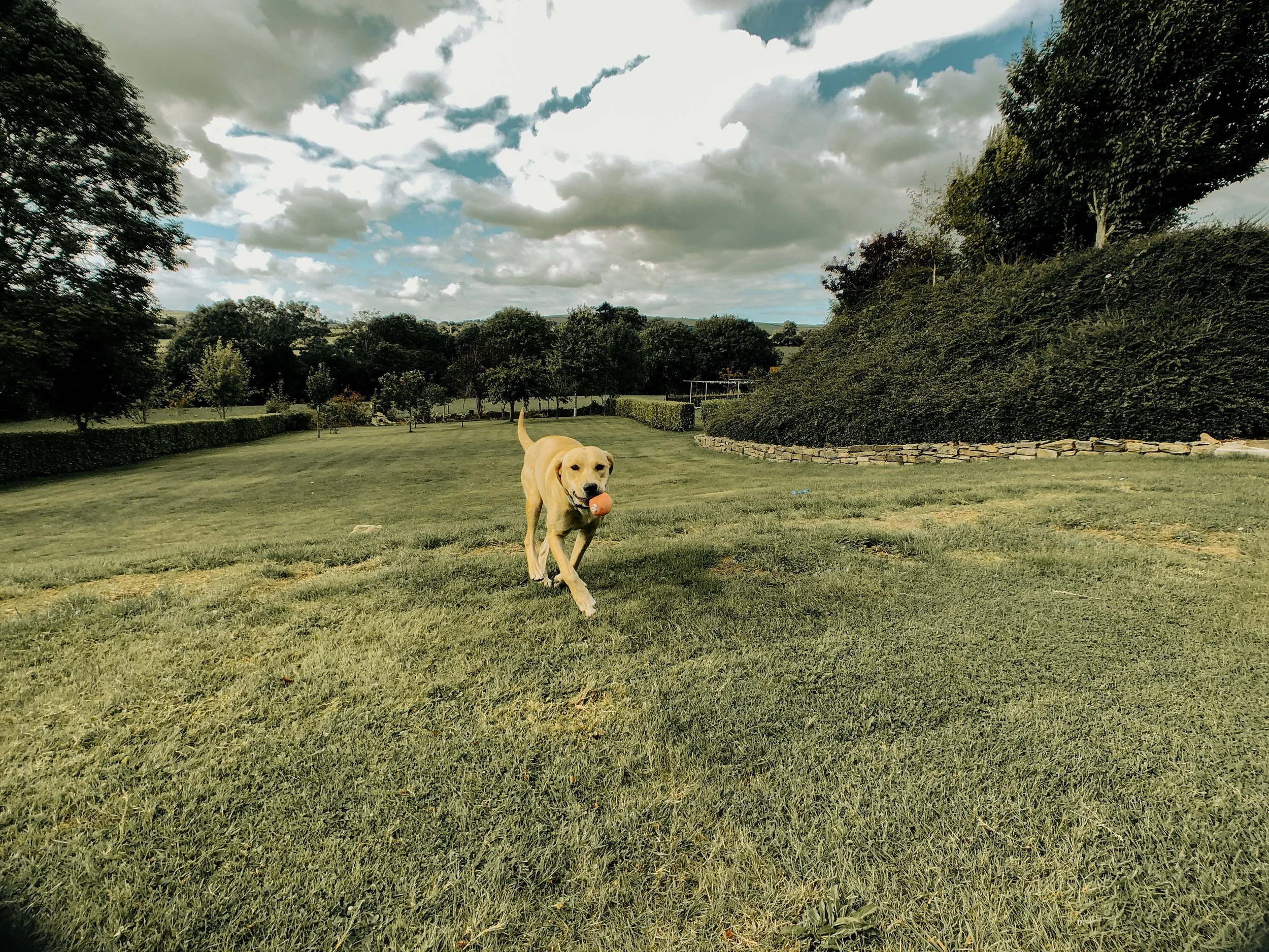 Ireland Square Space-104.jpg