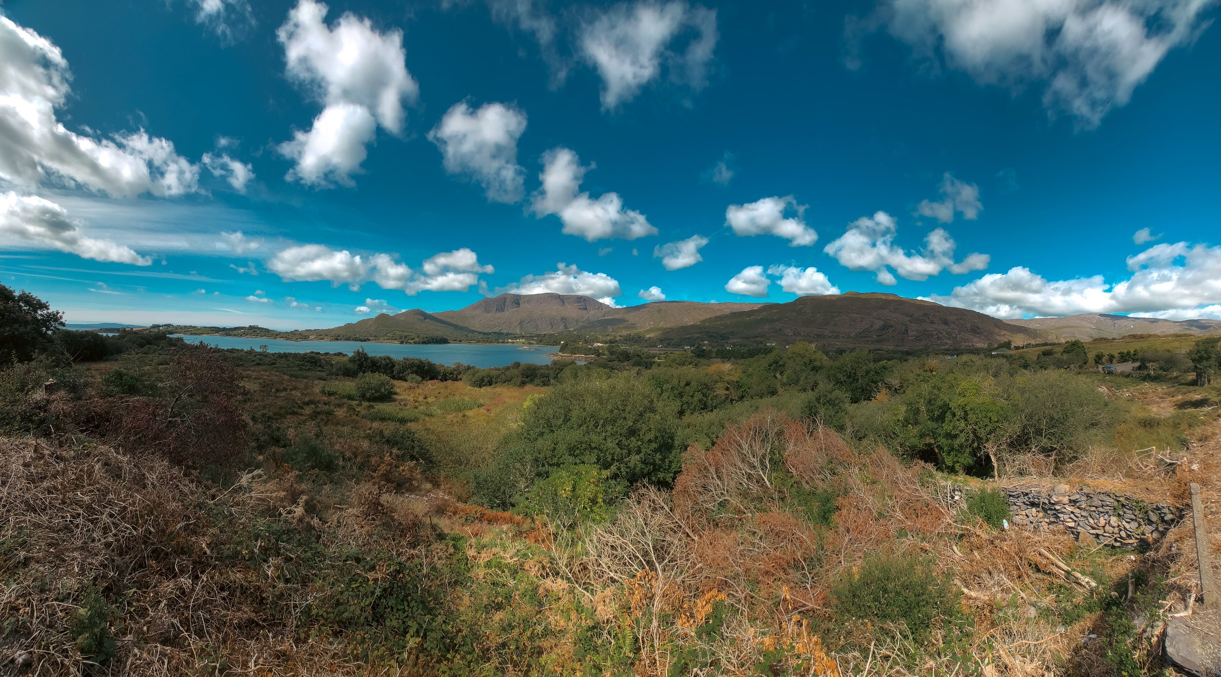 Ireland Square Space-073.jpg