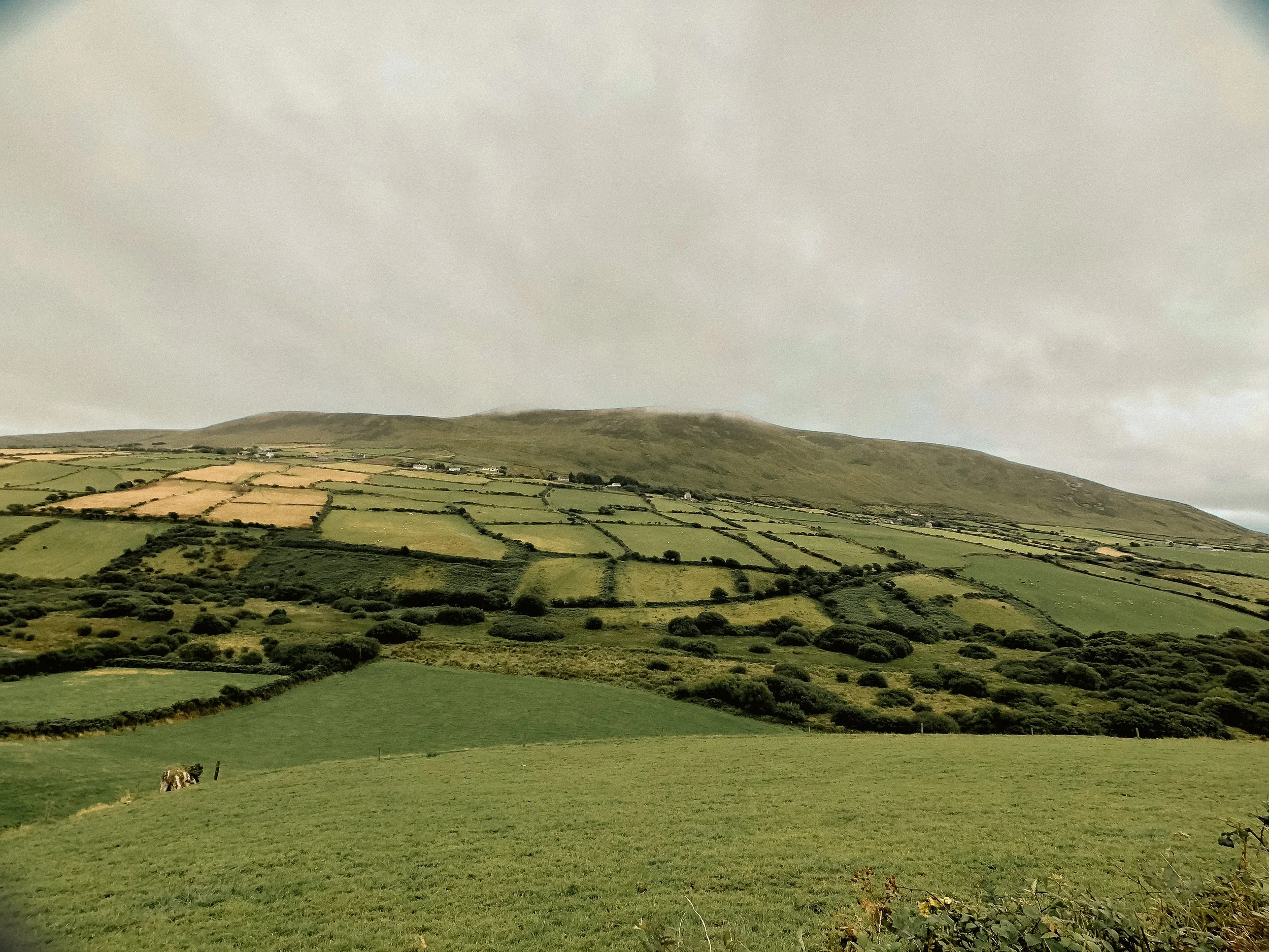 Ireland Square Space-069.jpg