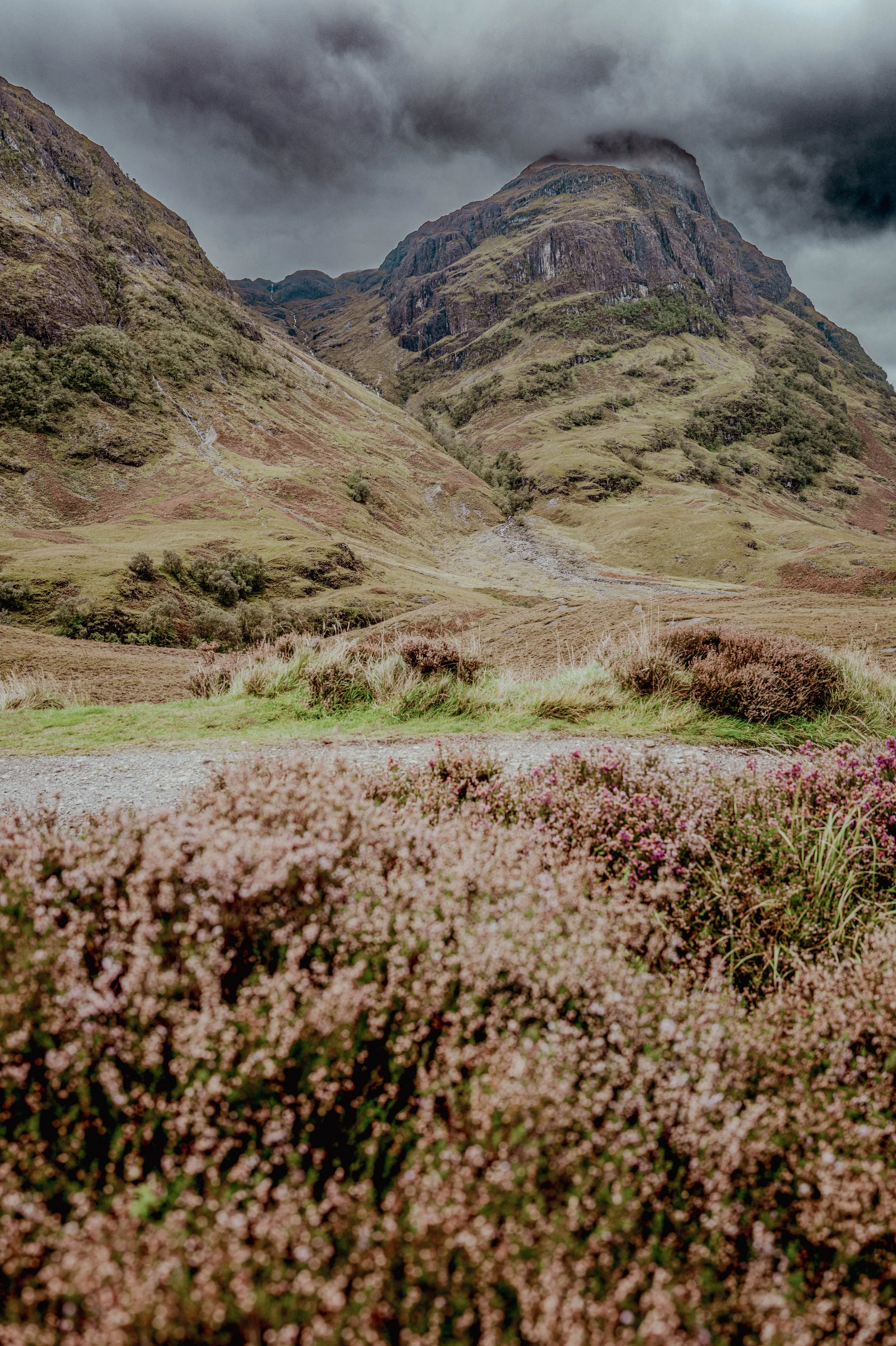 Square Space Scotland -63.jpg