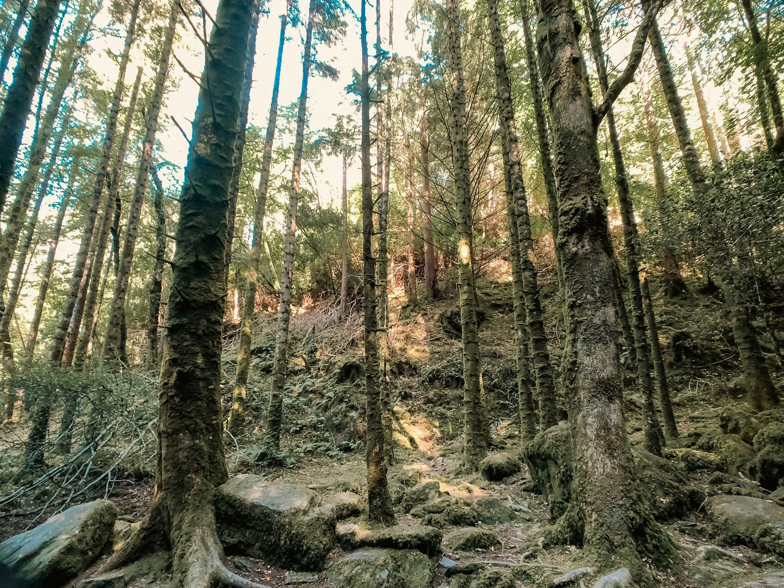 Ireland Square Space-070.jpg