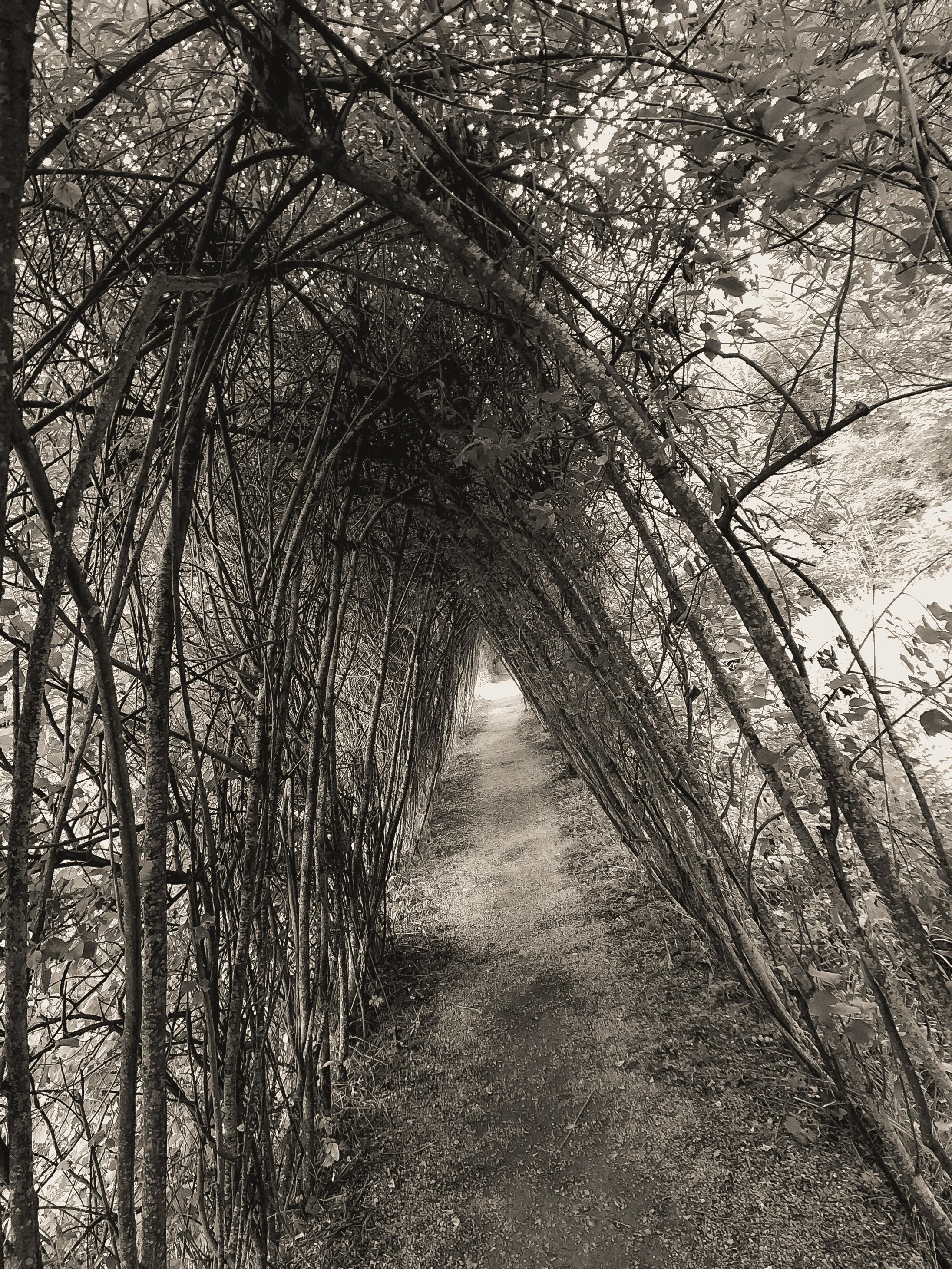 Ireland Square Space-079.jpg