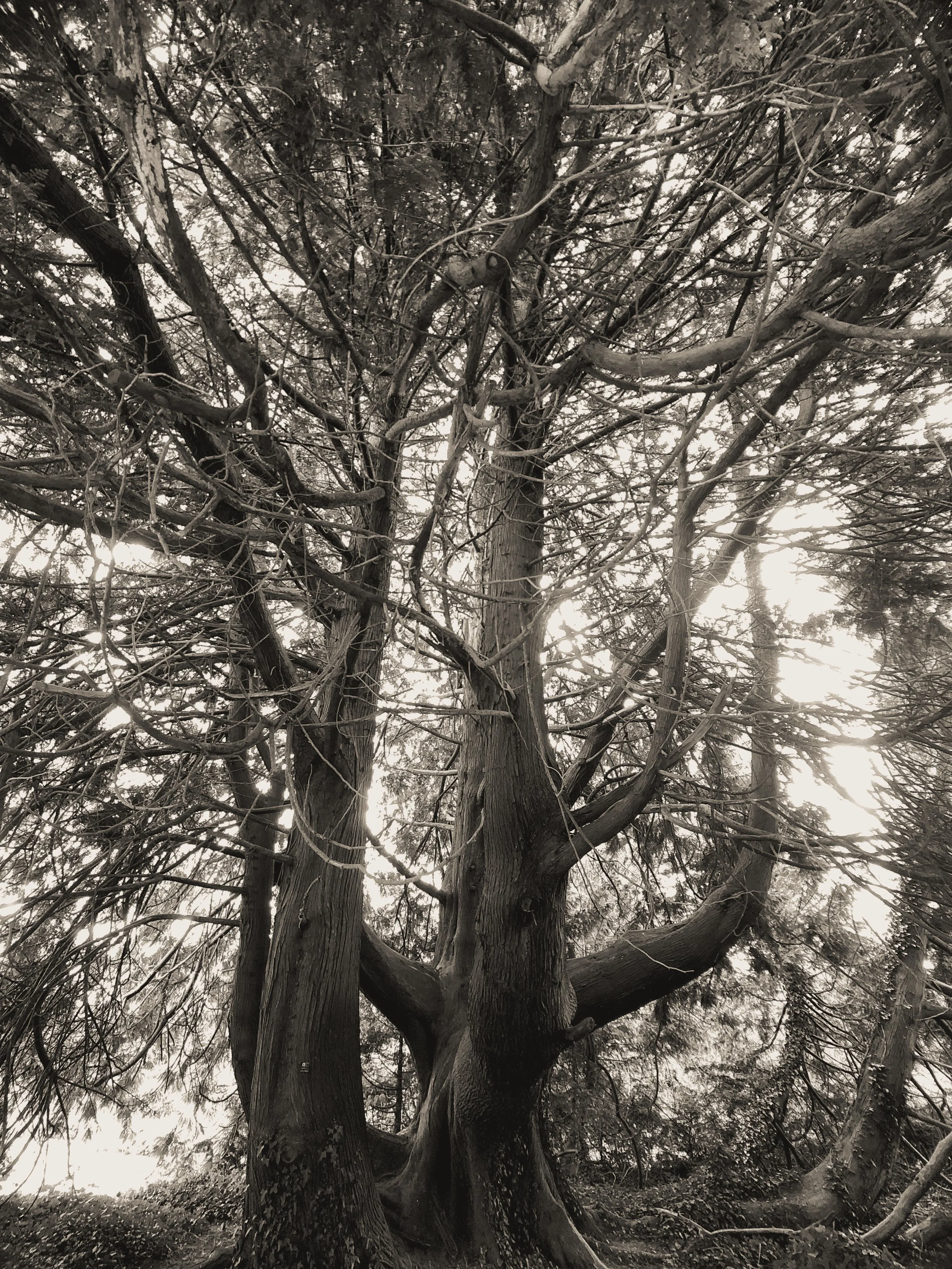 Ireland Square Space-083.jpg