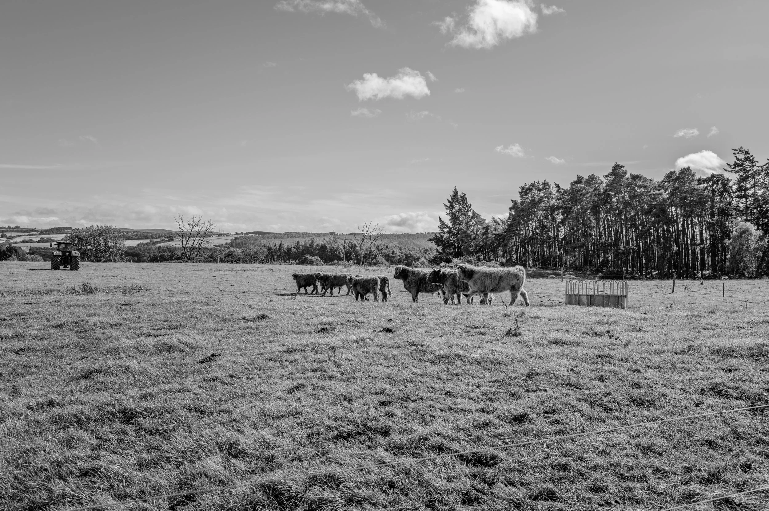 Square Space Scotland -68.jpg