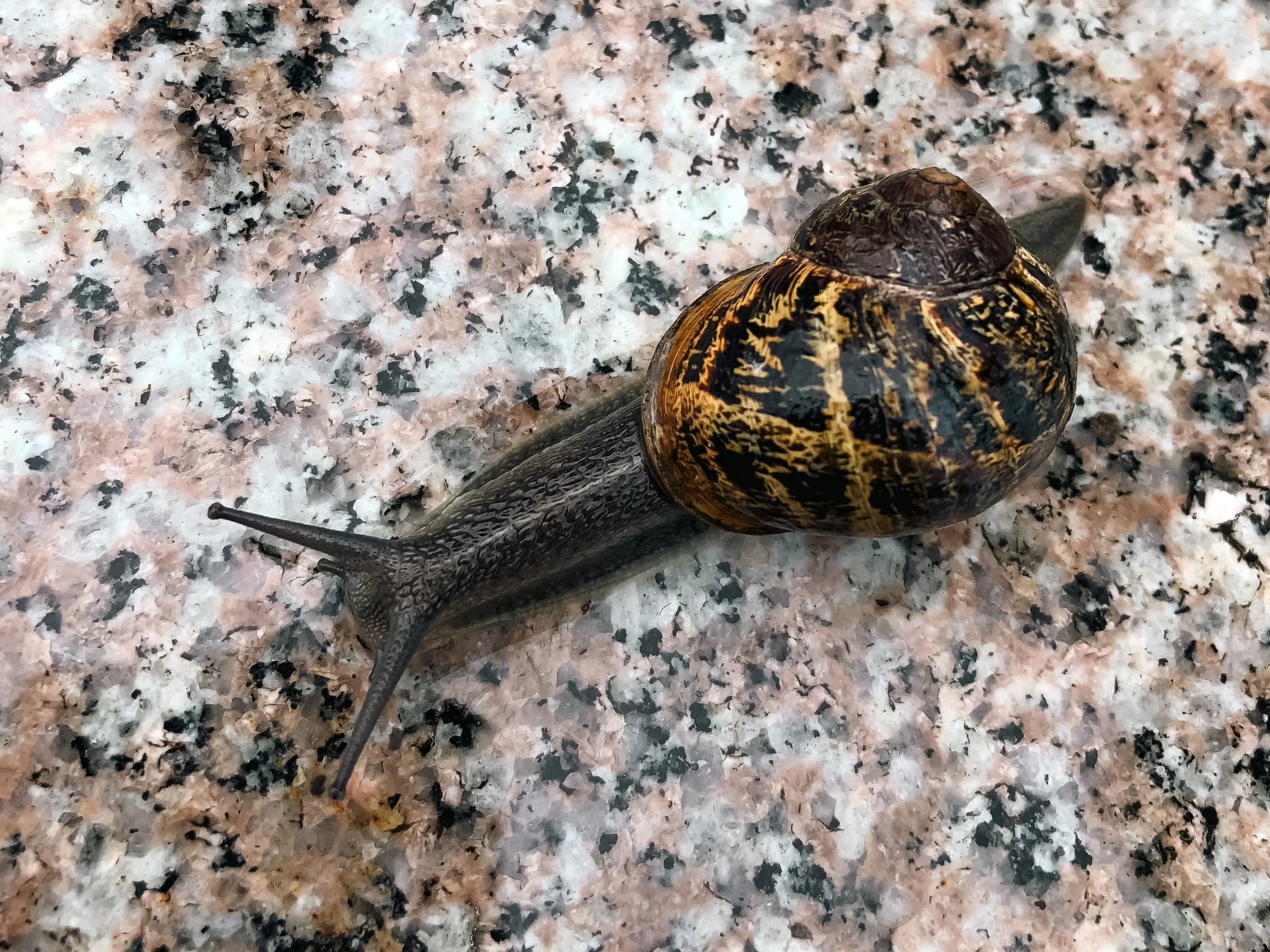 Ireland Square Space-002.jpg